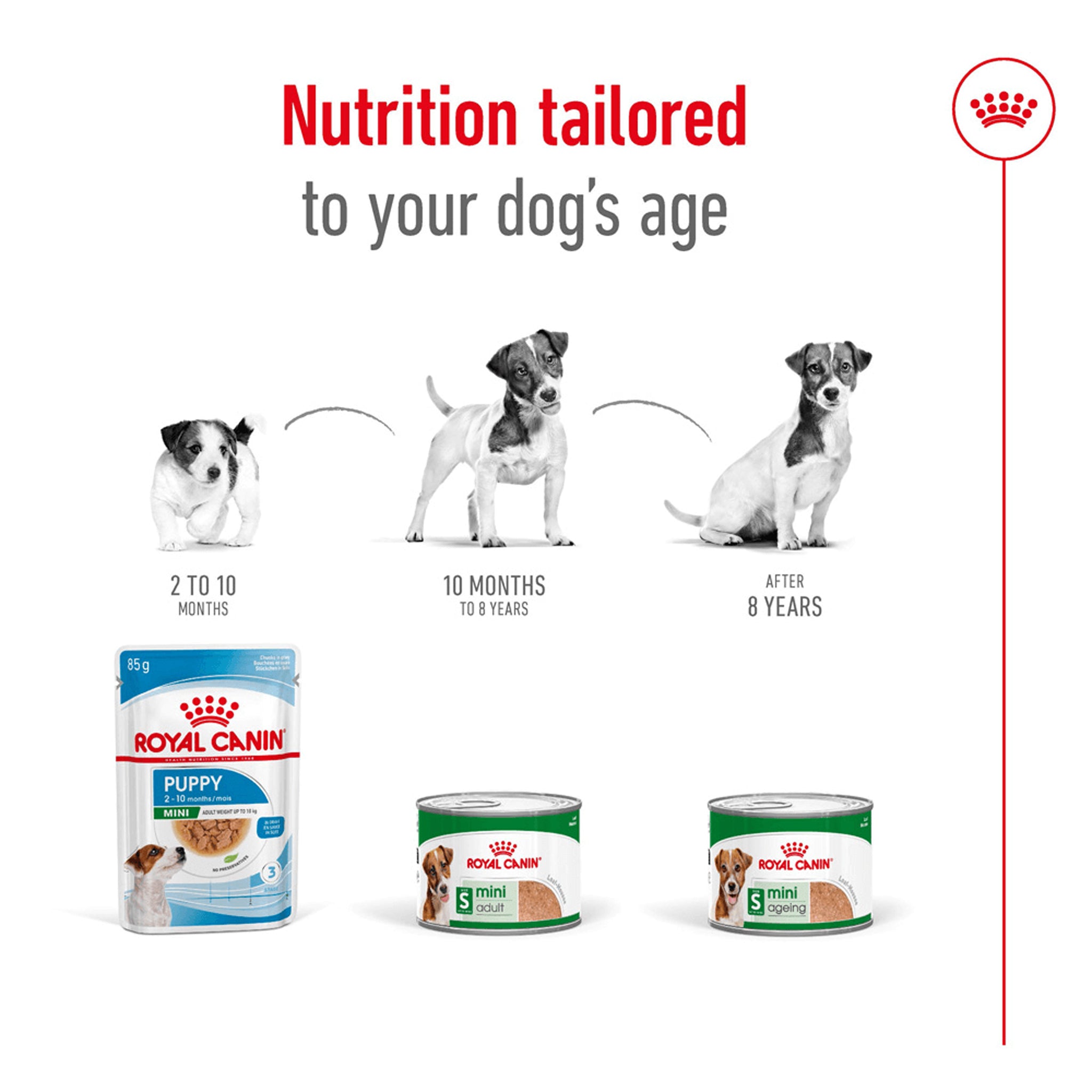 Royal Canin Mini Ageing Wet Dog Food Can