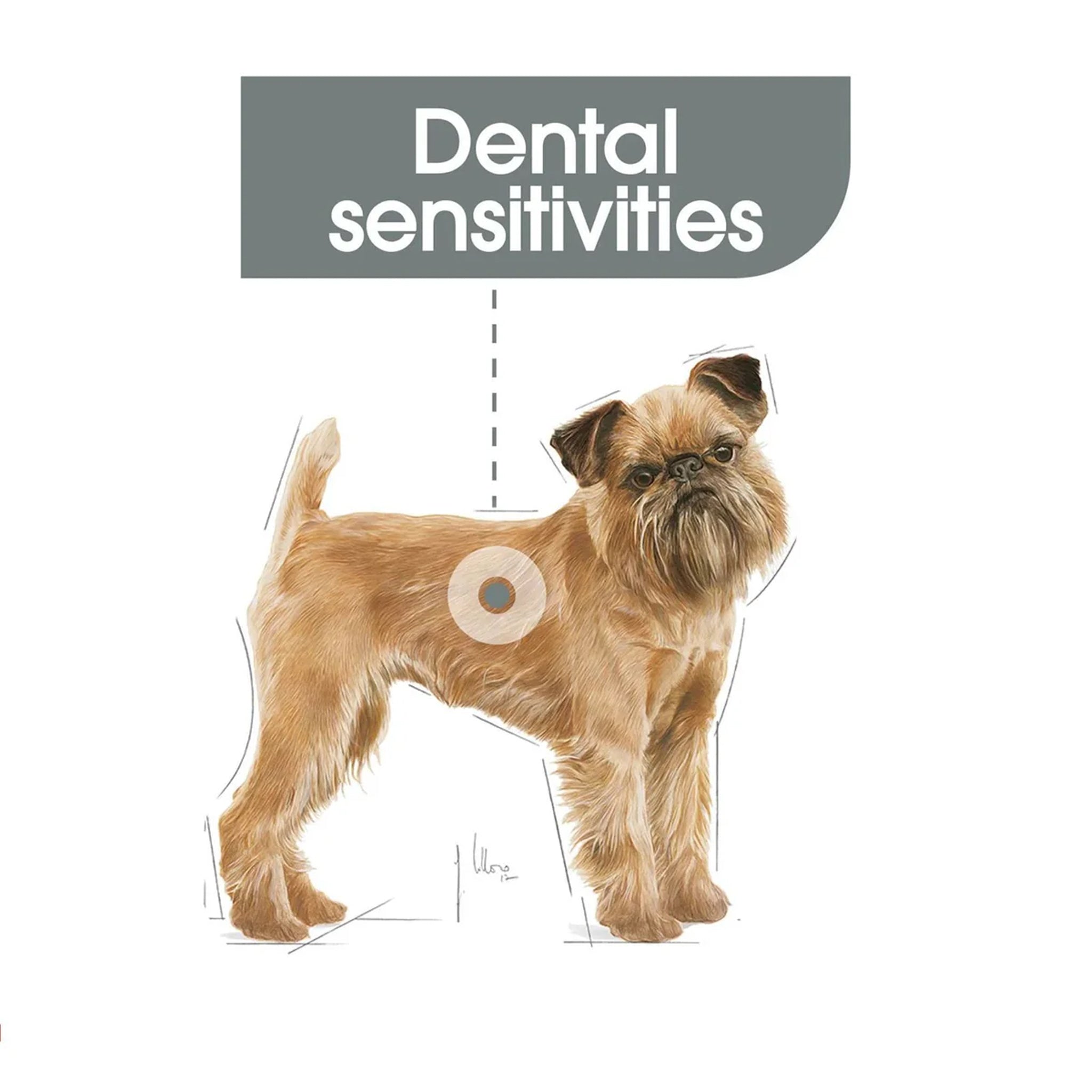 Royal Canin Dog Mini Dental Care