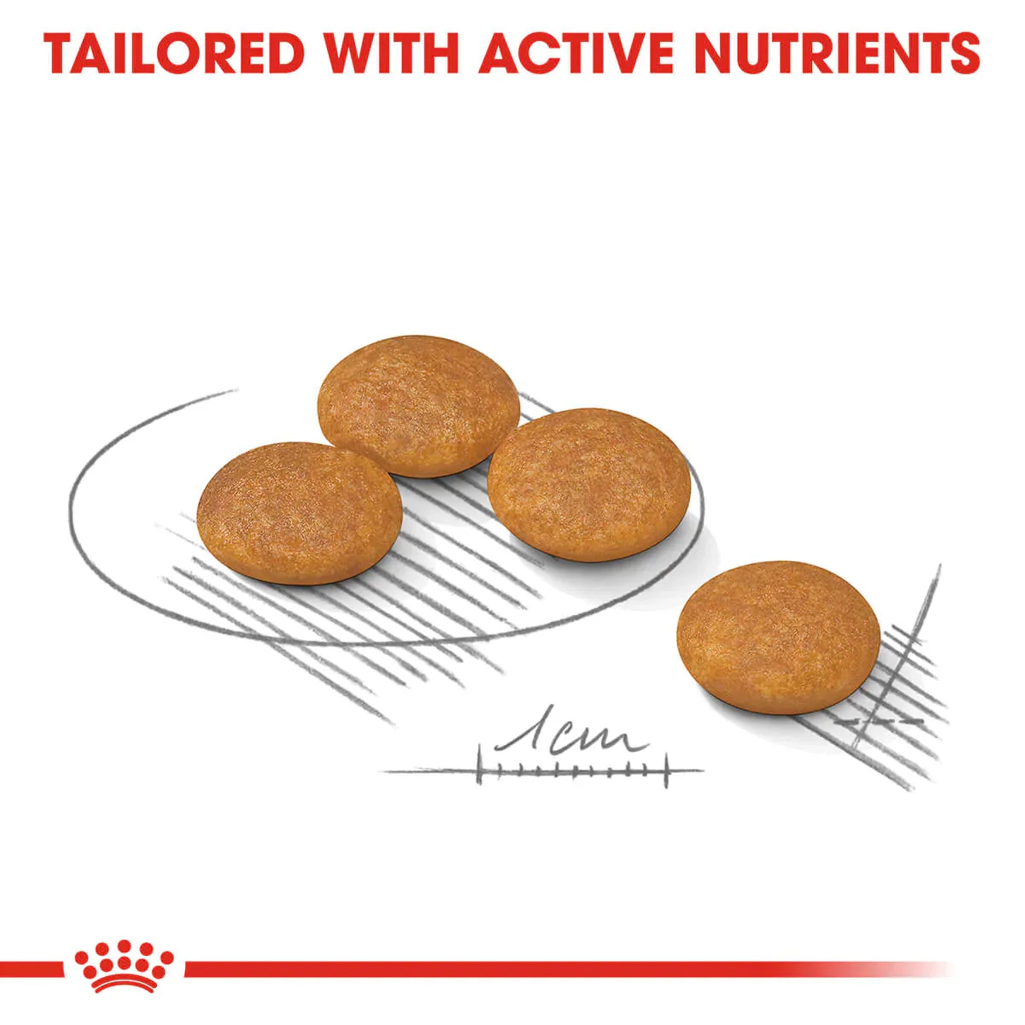 Royal Canin Mini Dermacomfort Care Adult Dry Dog Food