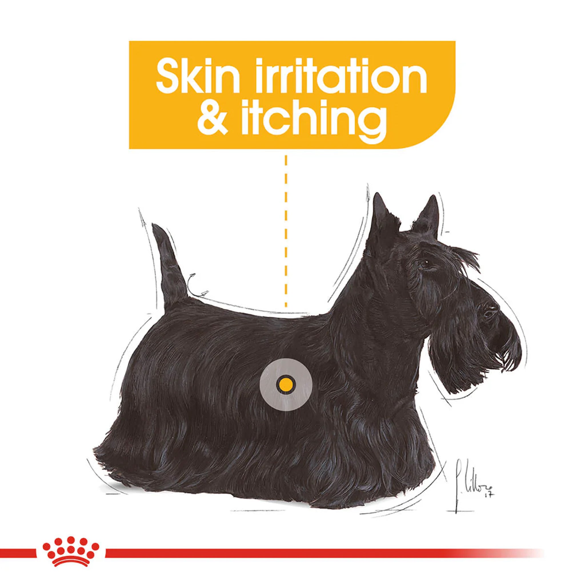 Royal Canin Mini Dermacomfort Care Adult Dry Dog Food