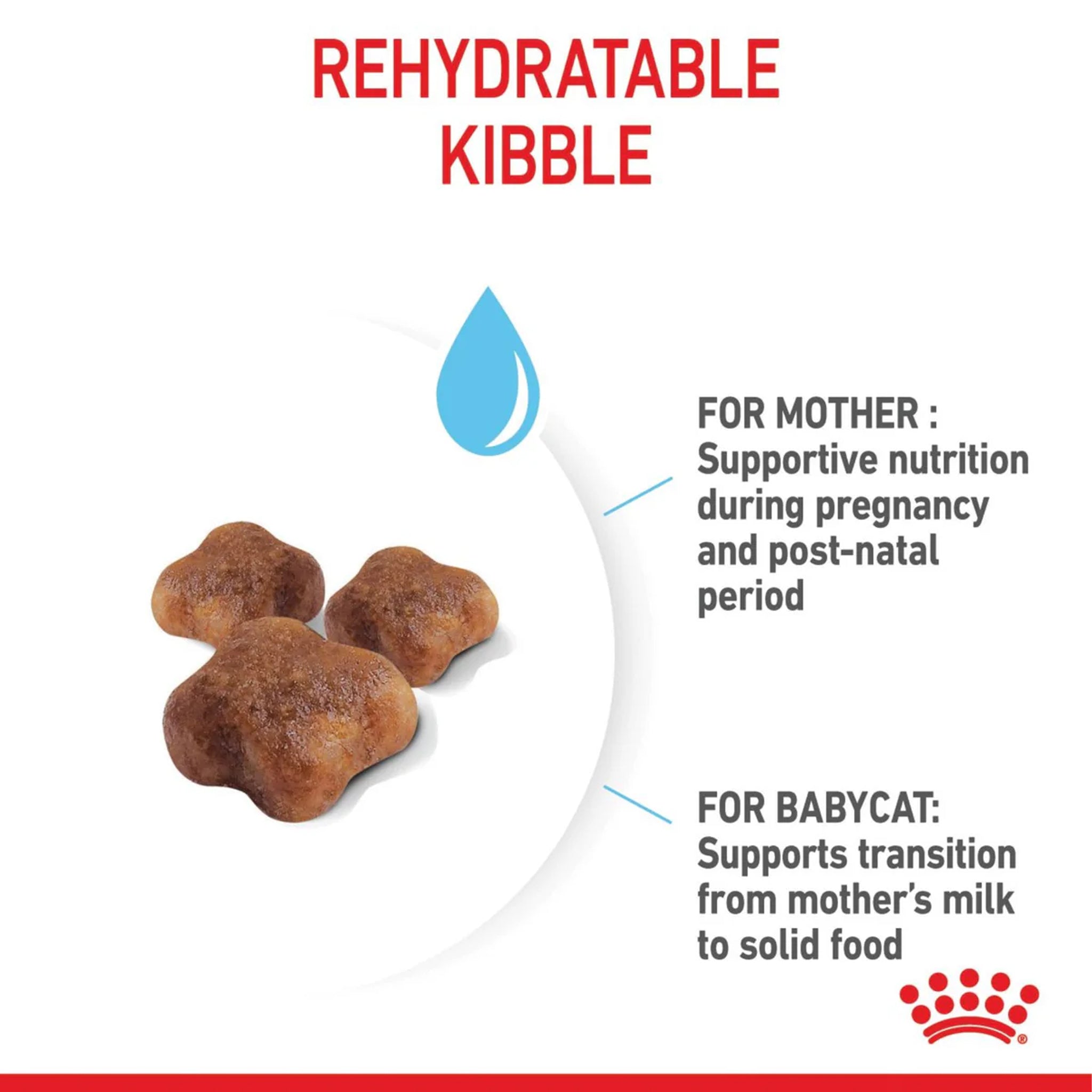 Royal Canin Mother and Babycat