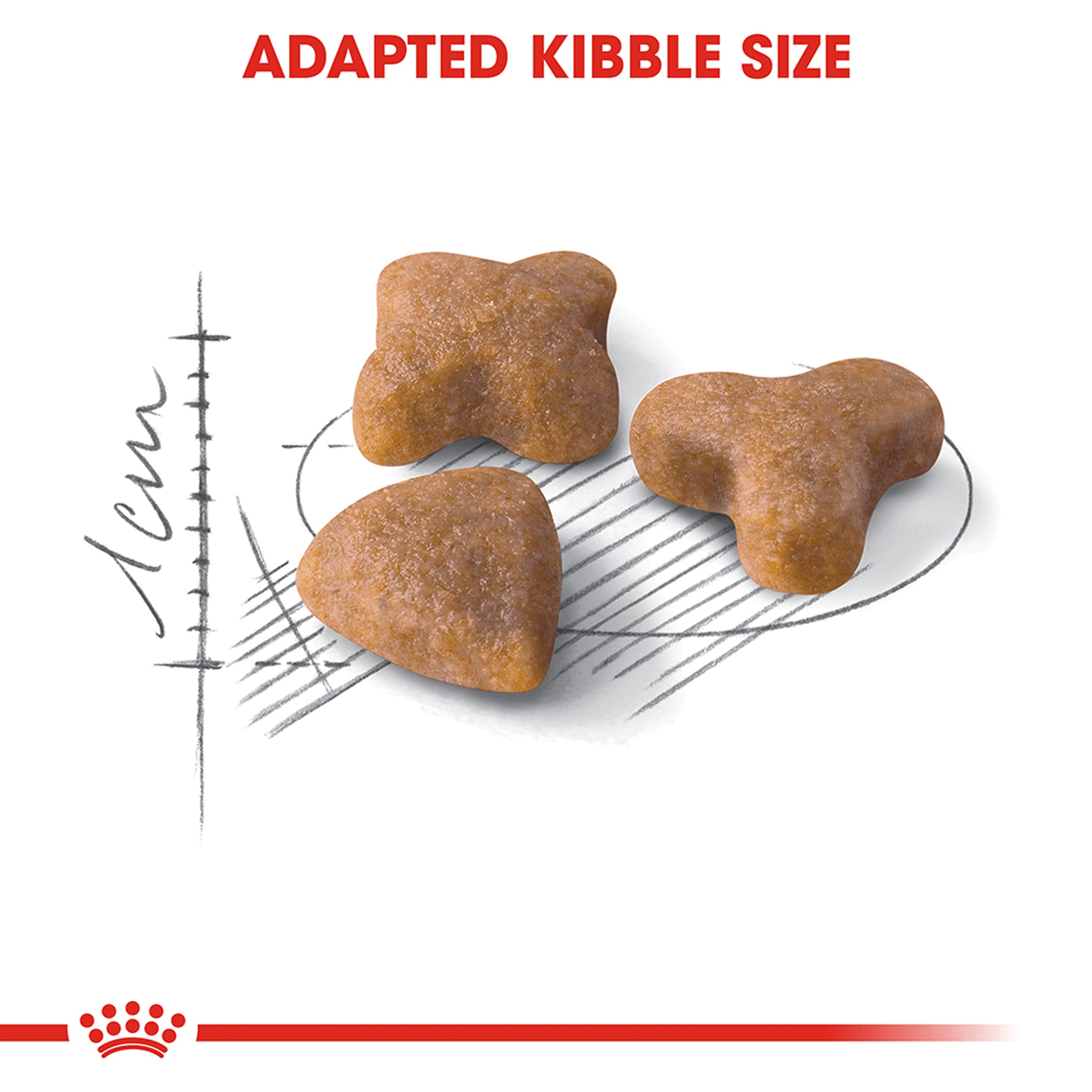 Royal Canin Sensible Regular Adult Dry Cat Food