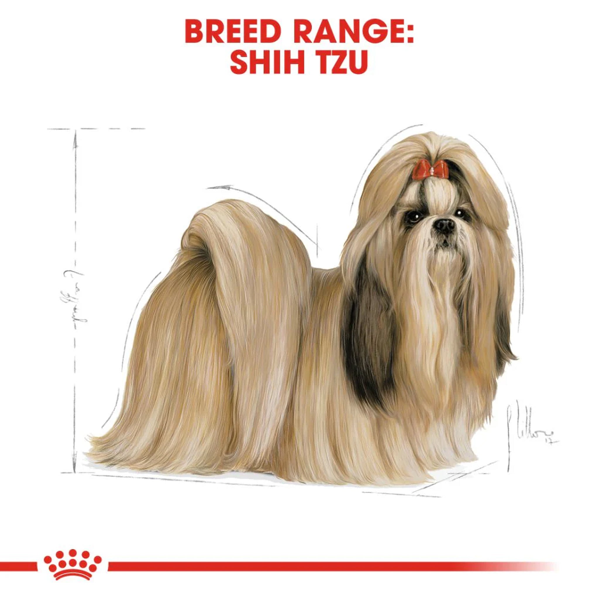Royal Canin Shih Tzu Adult Dry Dog Food 1.5kg