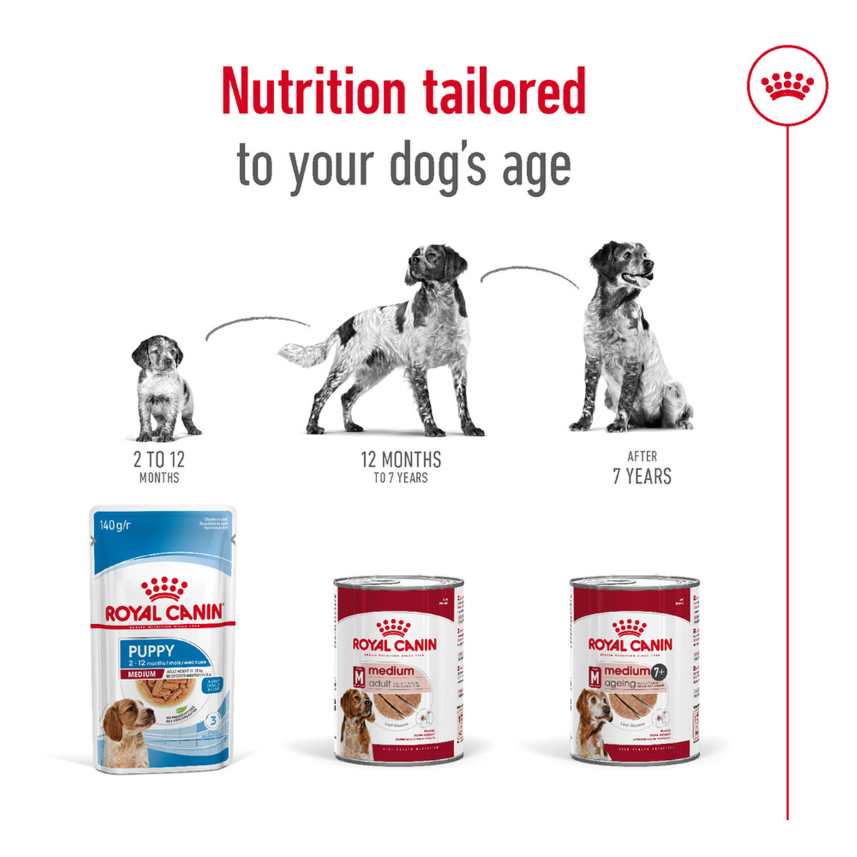 Royal Medium Ageing 7 Plus Loaf Wet Dog Food Can