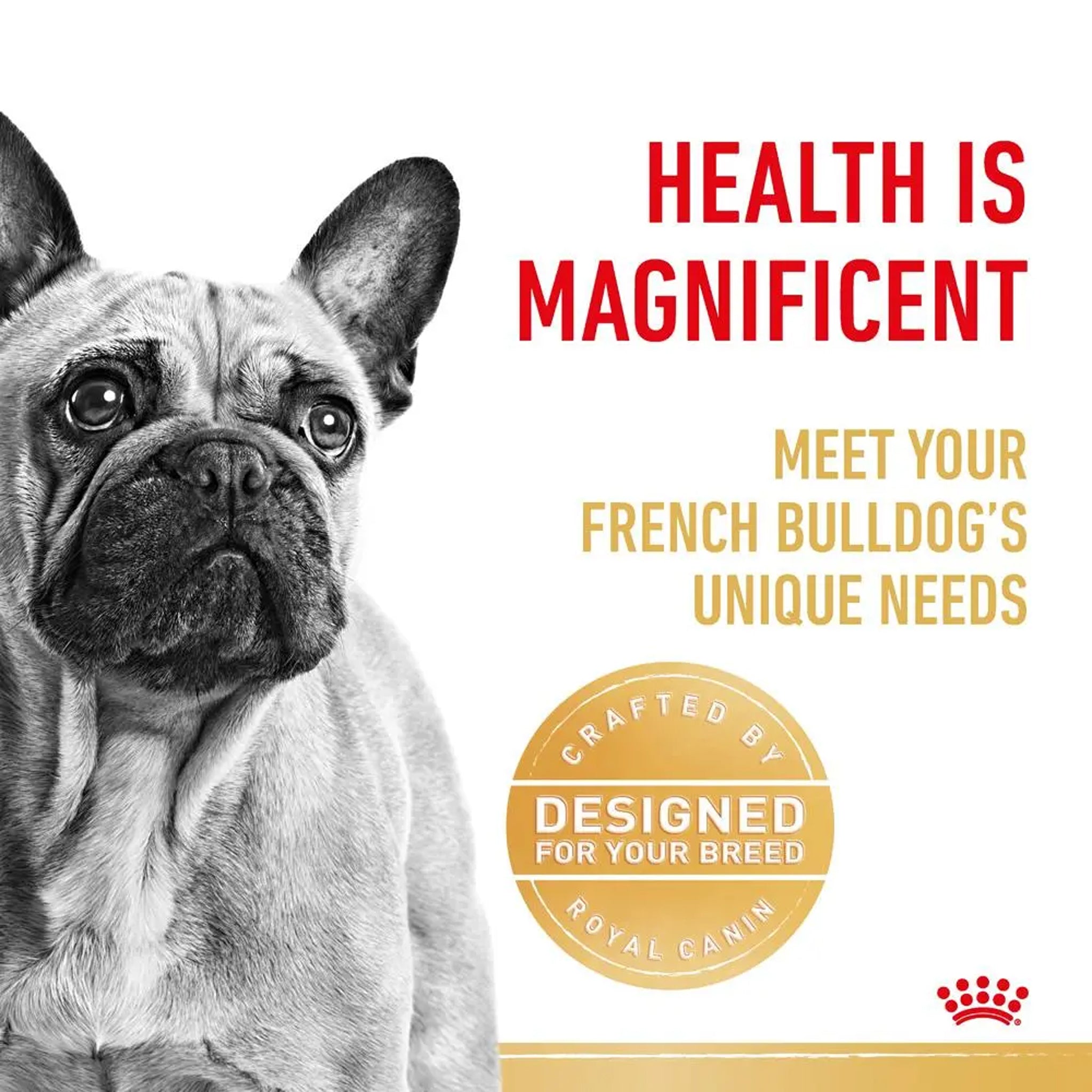 Royal Canin Dog French Bulldog