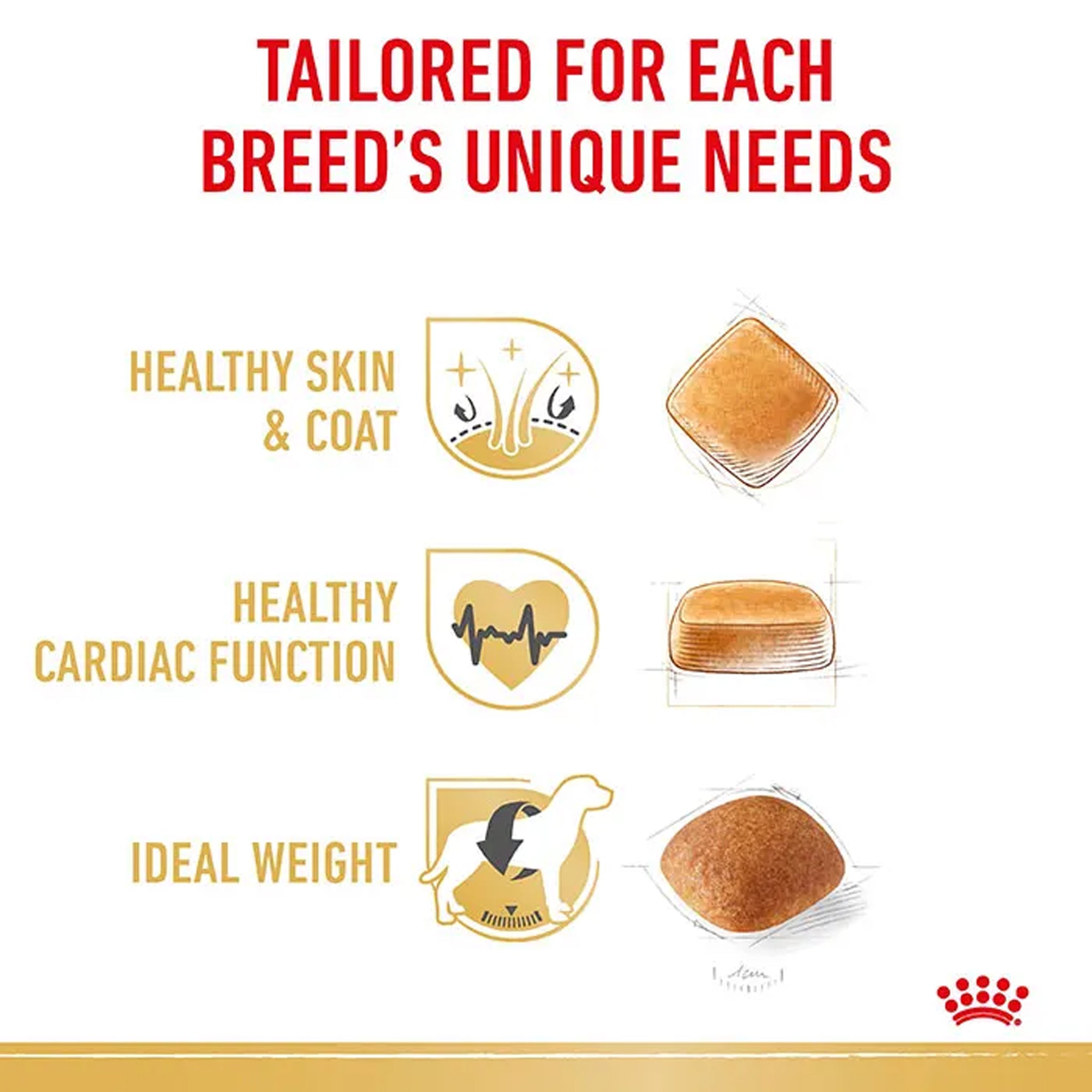 Royal Canin Dog Golden Retiever