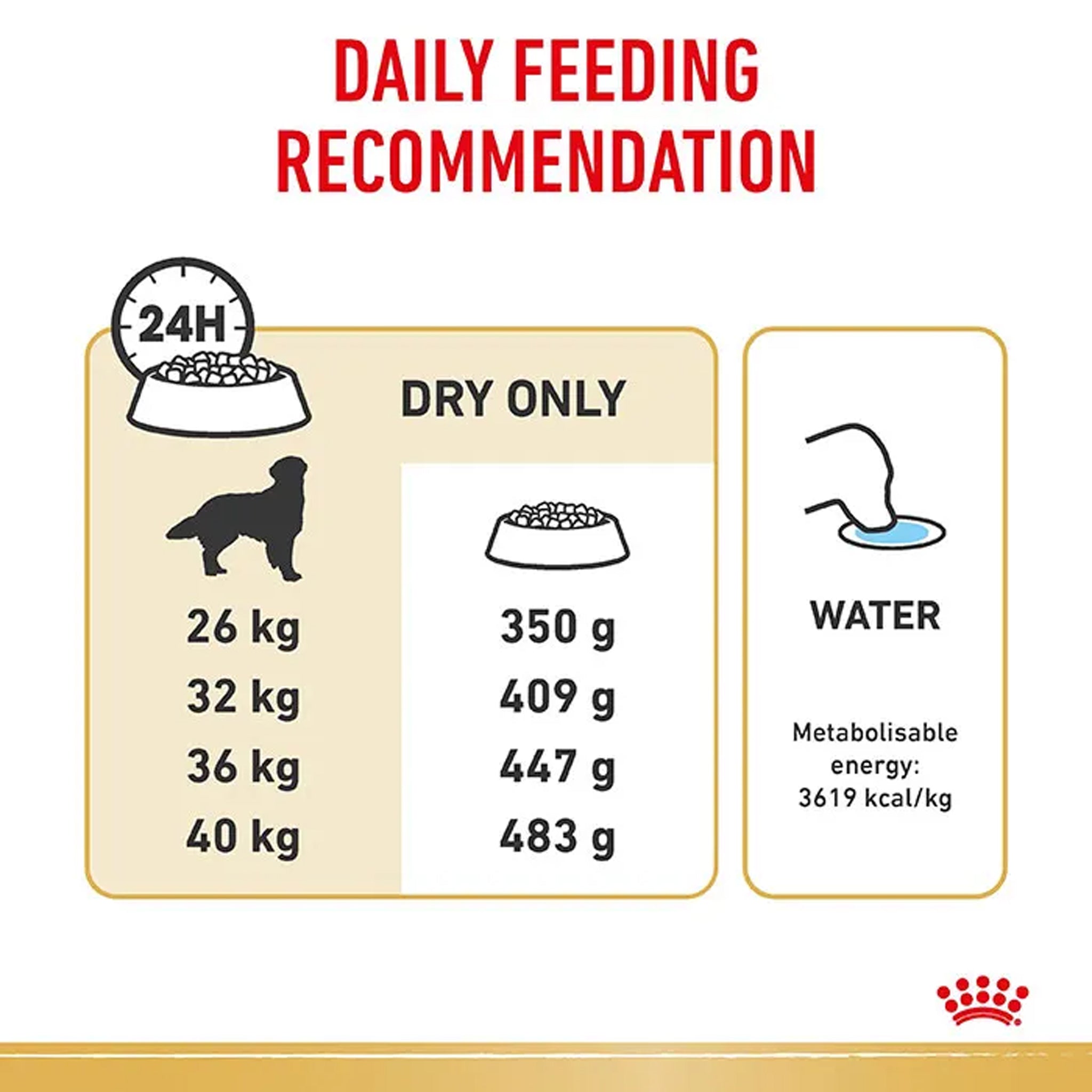 Royal Canin Dog Golden Retiever