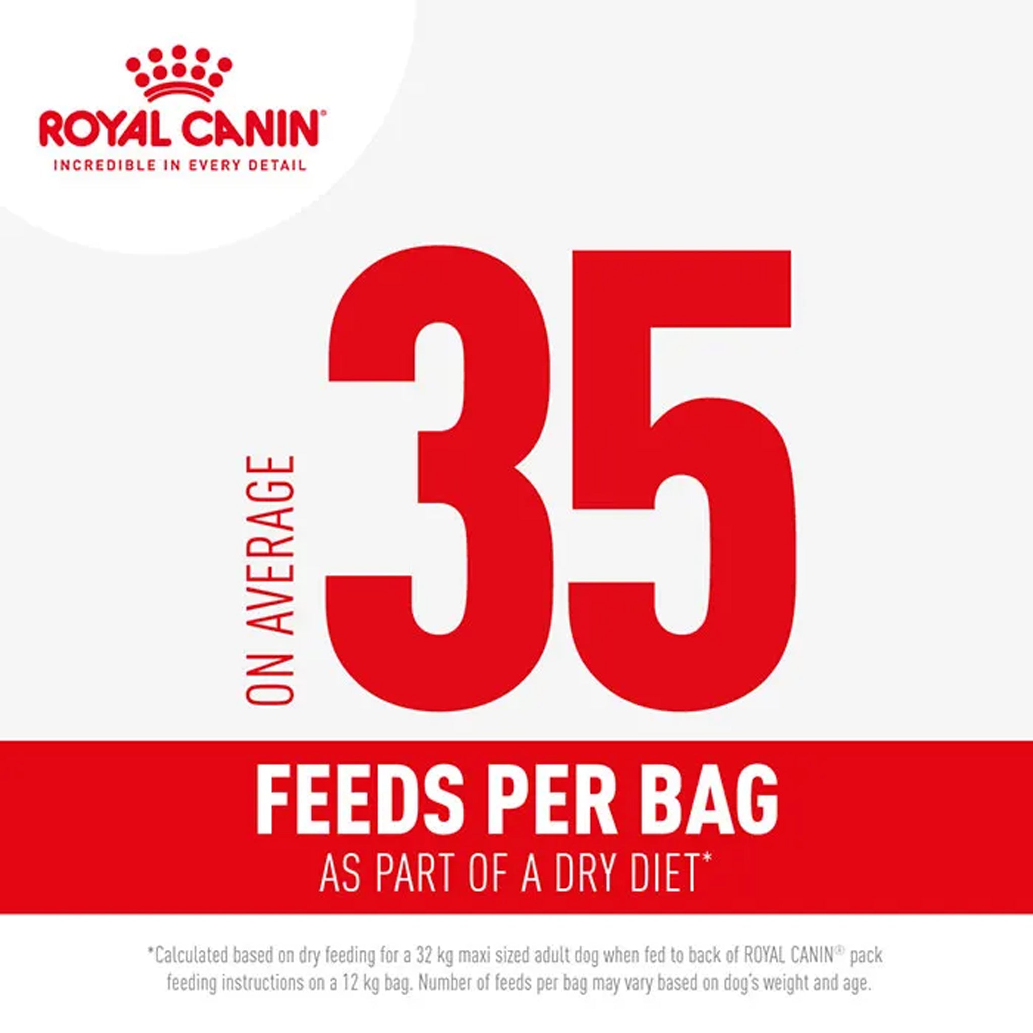 Royal Canin Dog Golden Retiever