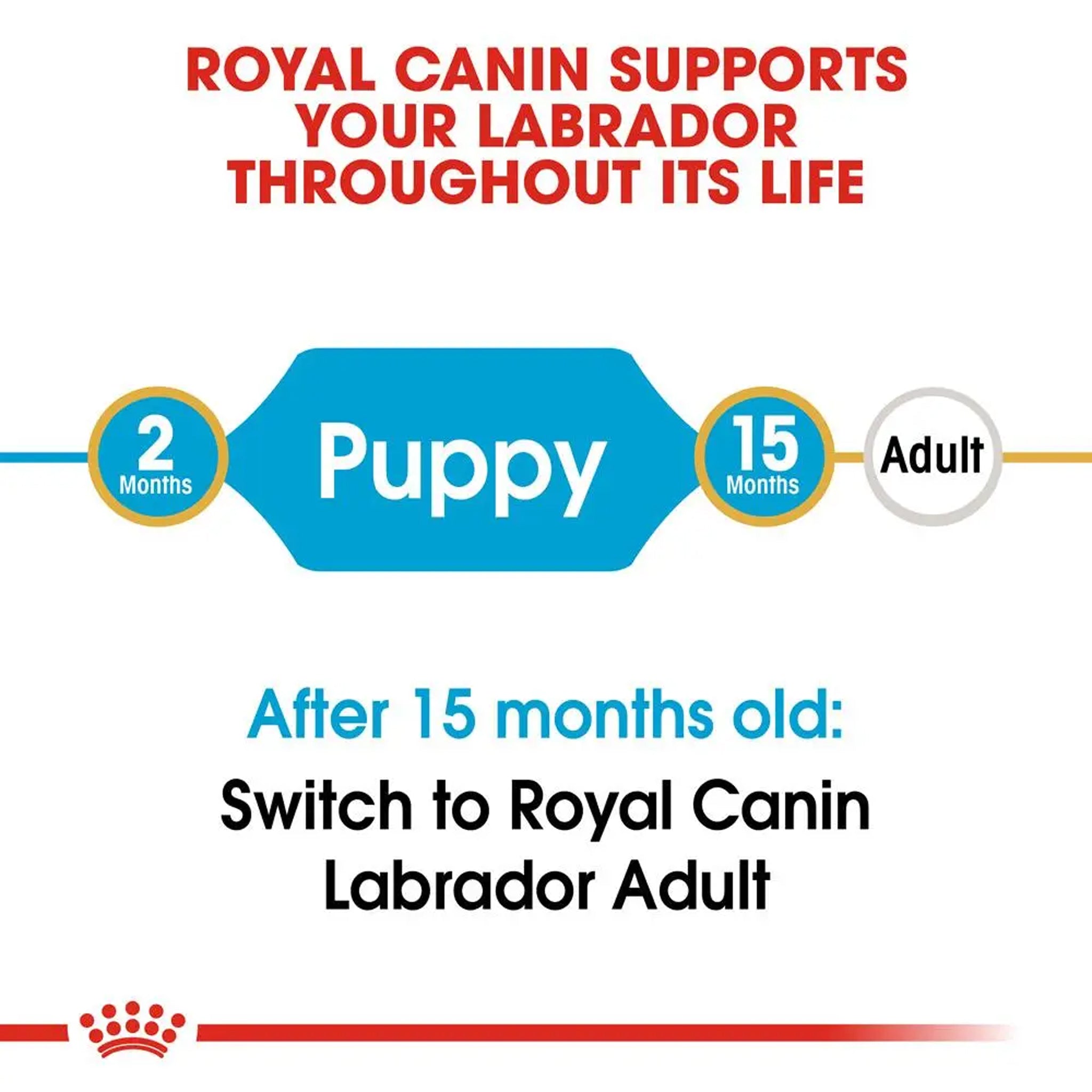 Royal Canin Dog Labrador Puppy