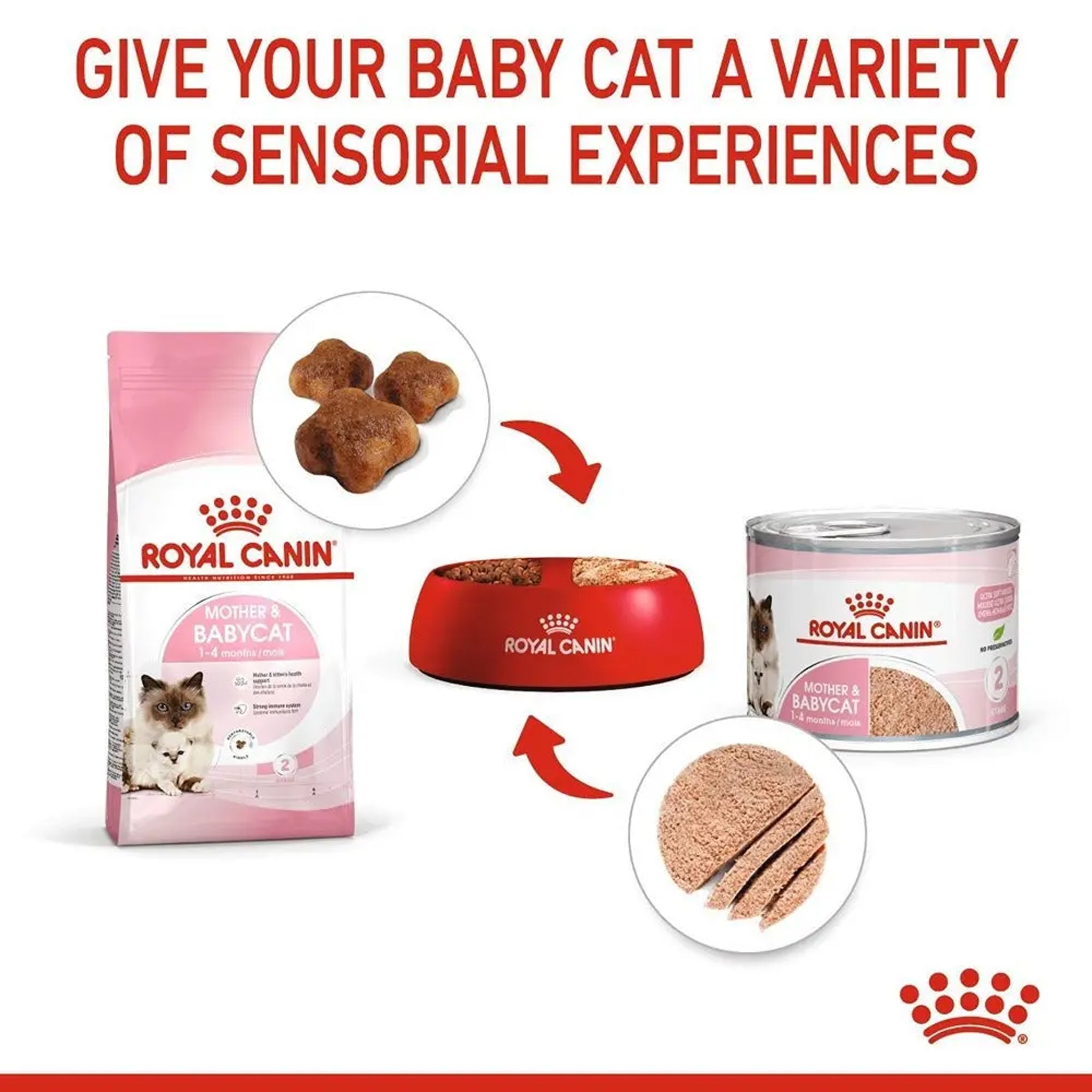 Royal Canin Mother And Babycat Mousse Can 195g X12