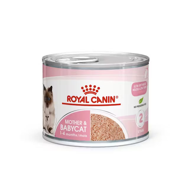 Royal Canin Mother And Babycat Mousse Can 195g X12