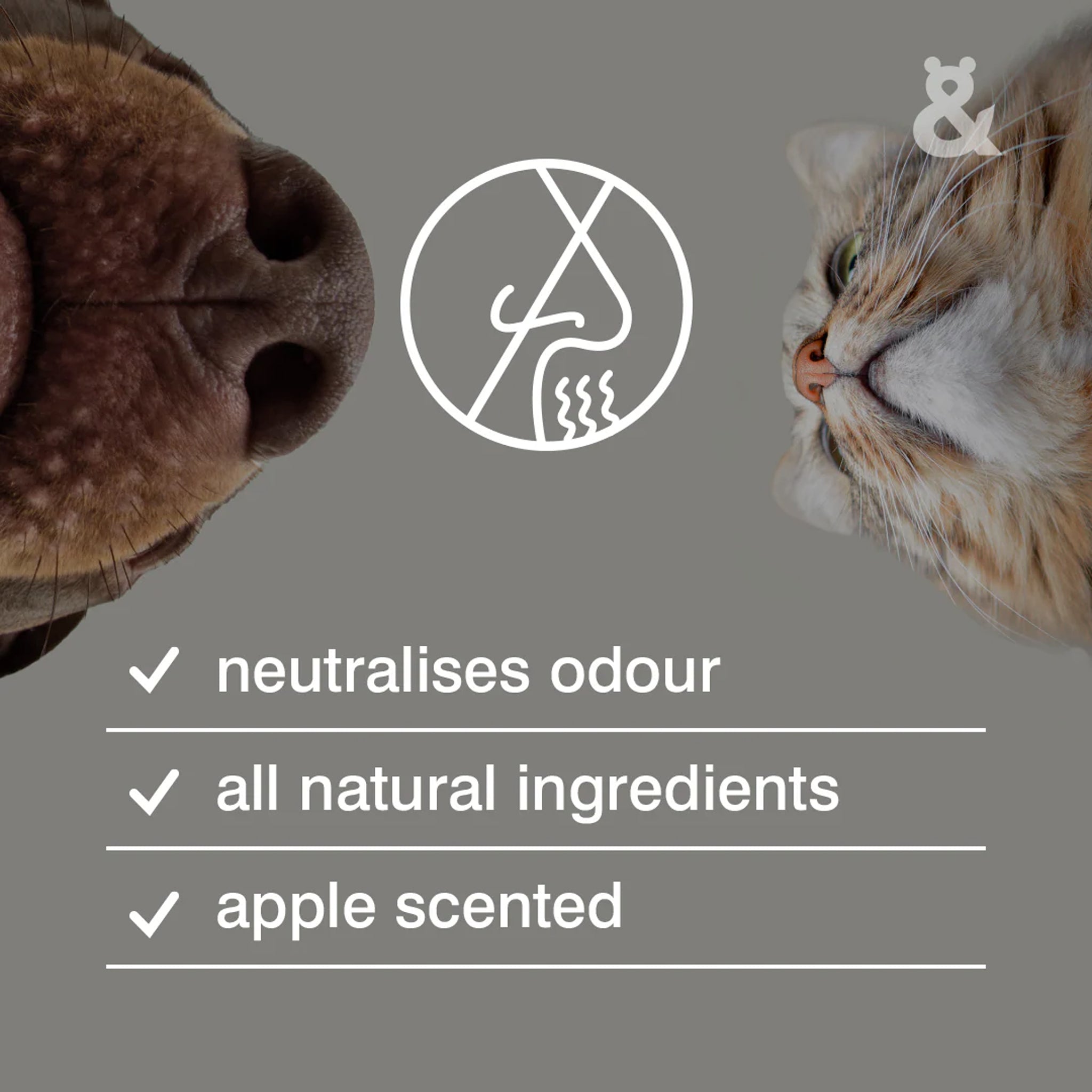 Rufus & Coco Wee & Stain Away Spray – 250ml