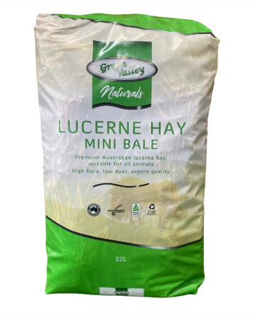 GREEN VALLEY NATURALS MINI LUCERNE BALE 22L