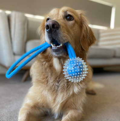 Ruff Play Dog Toy Spikey Ball Tug Rope