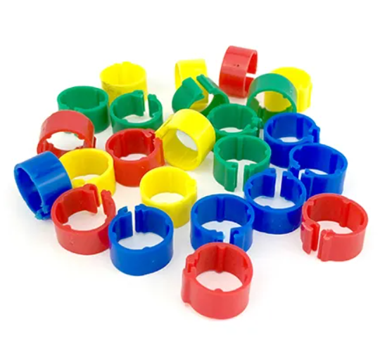 Bainbridge Poultry Leg Rings 16mm - Mixed (24)