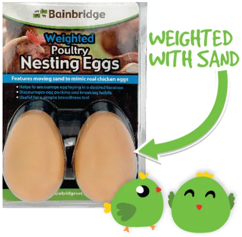 Bainbridge Weighted Poultry Nesting Egg - 2 Pack