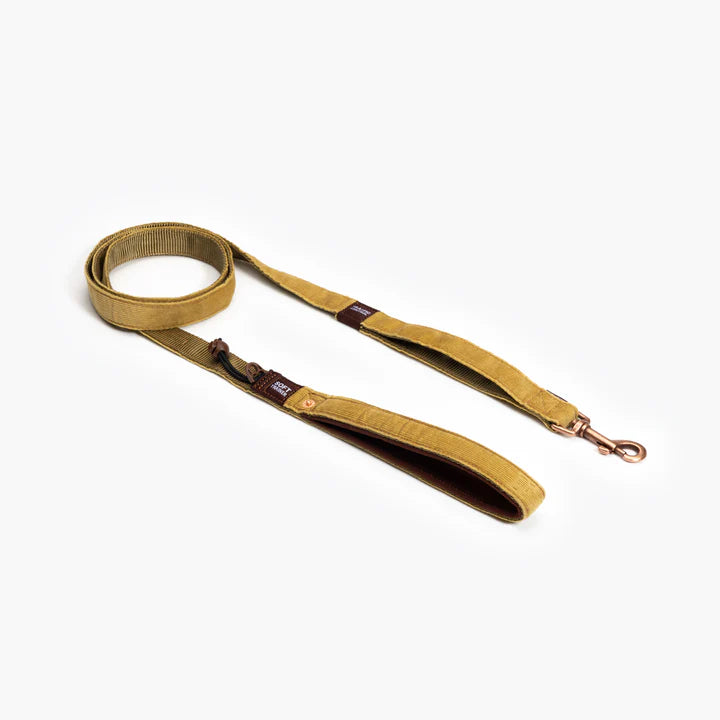 EzyDog Leash Soft Trainer
