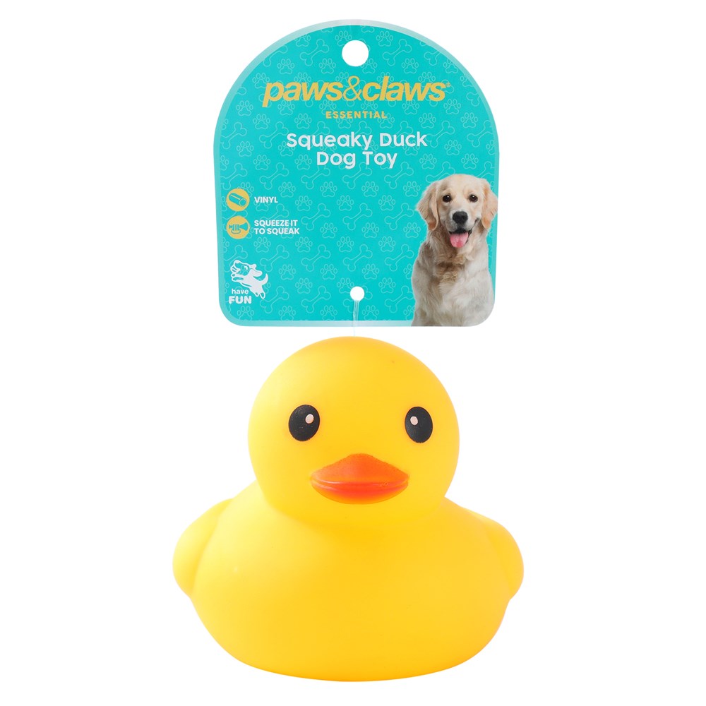 Squeaky Ducks 10x13x11cm Assorted Colours