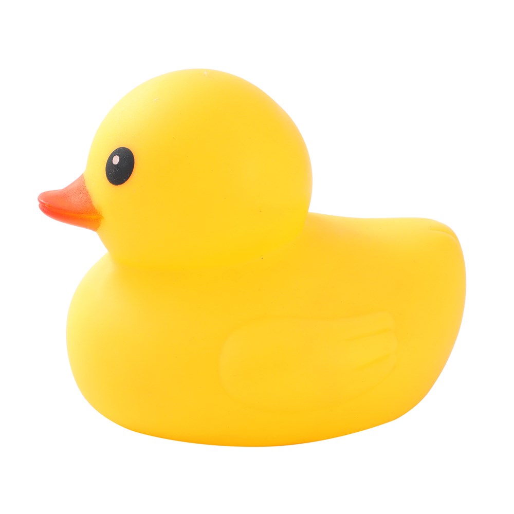 Squeaky Ducks 10x13x11cm Assorted Colours