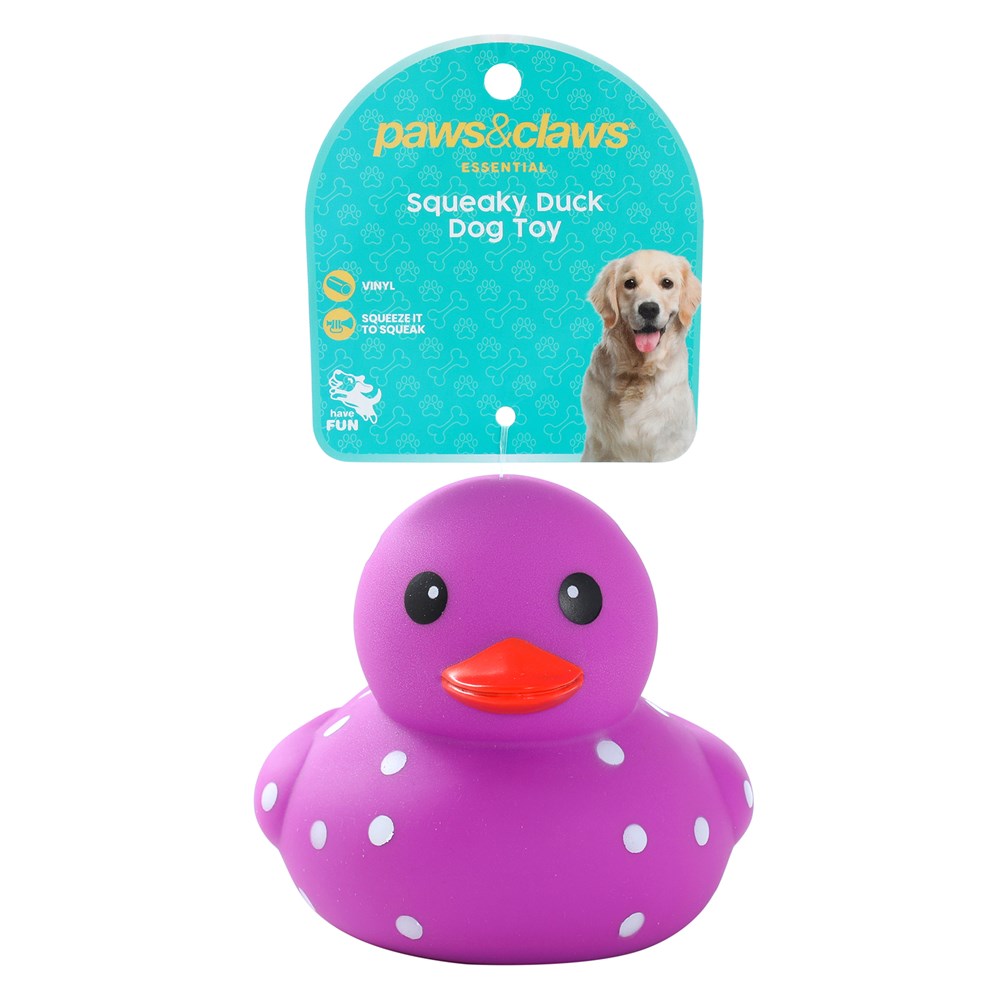 Squeaky Ducks 10x13x11cm Assorted Colours