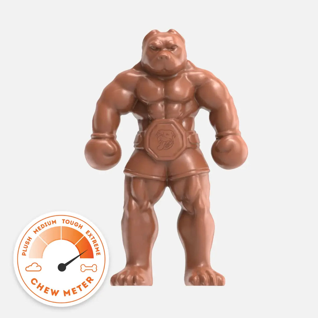 Happy Staffy Balboa - Main Image