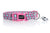 DOOG Neoprene Dog Collar