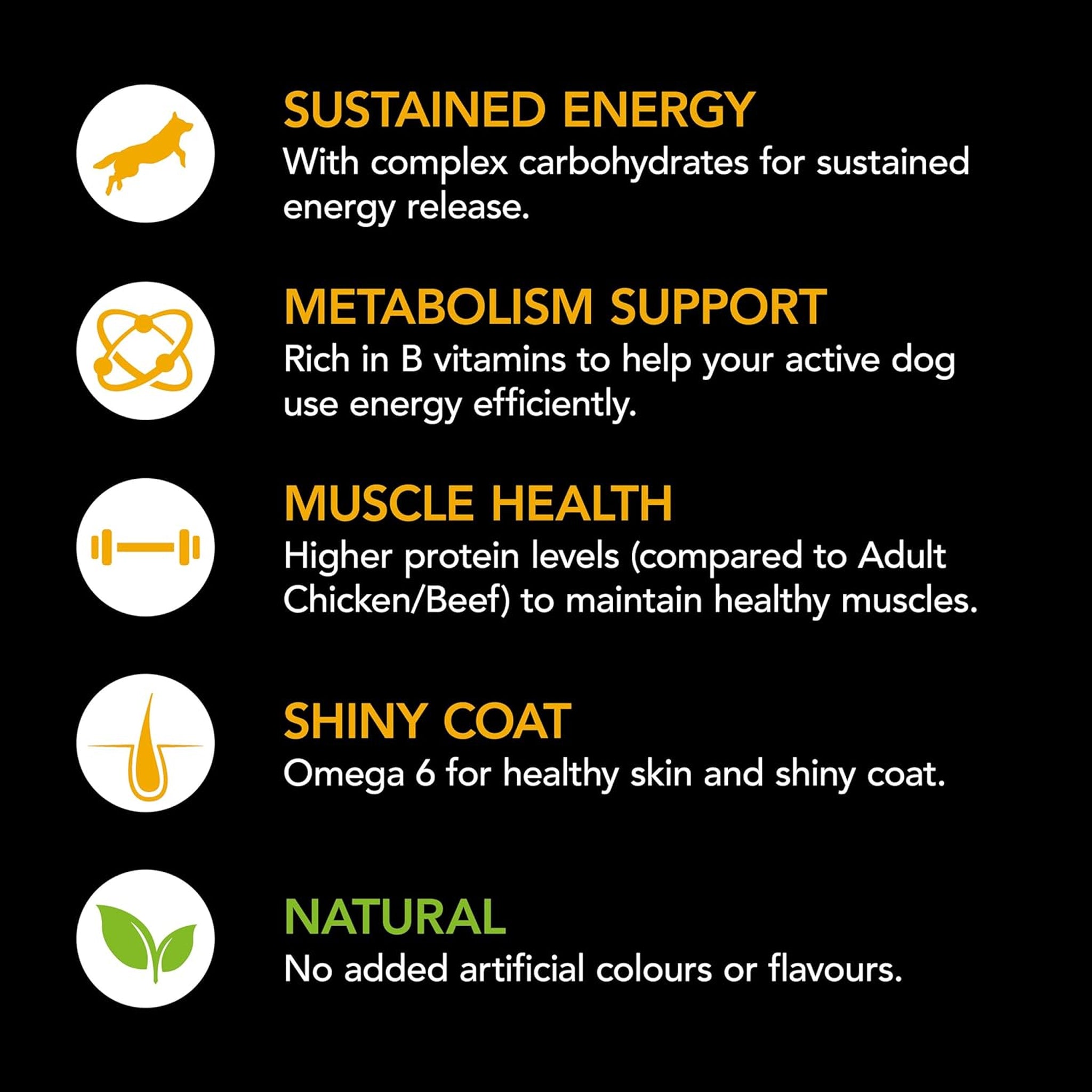 Supercoat Adult Active Beef Dry Dog Food