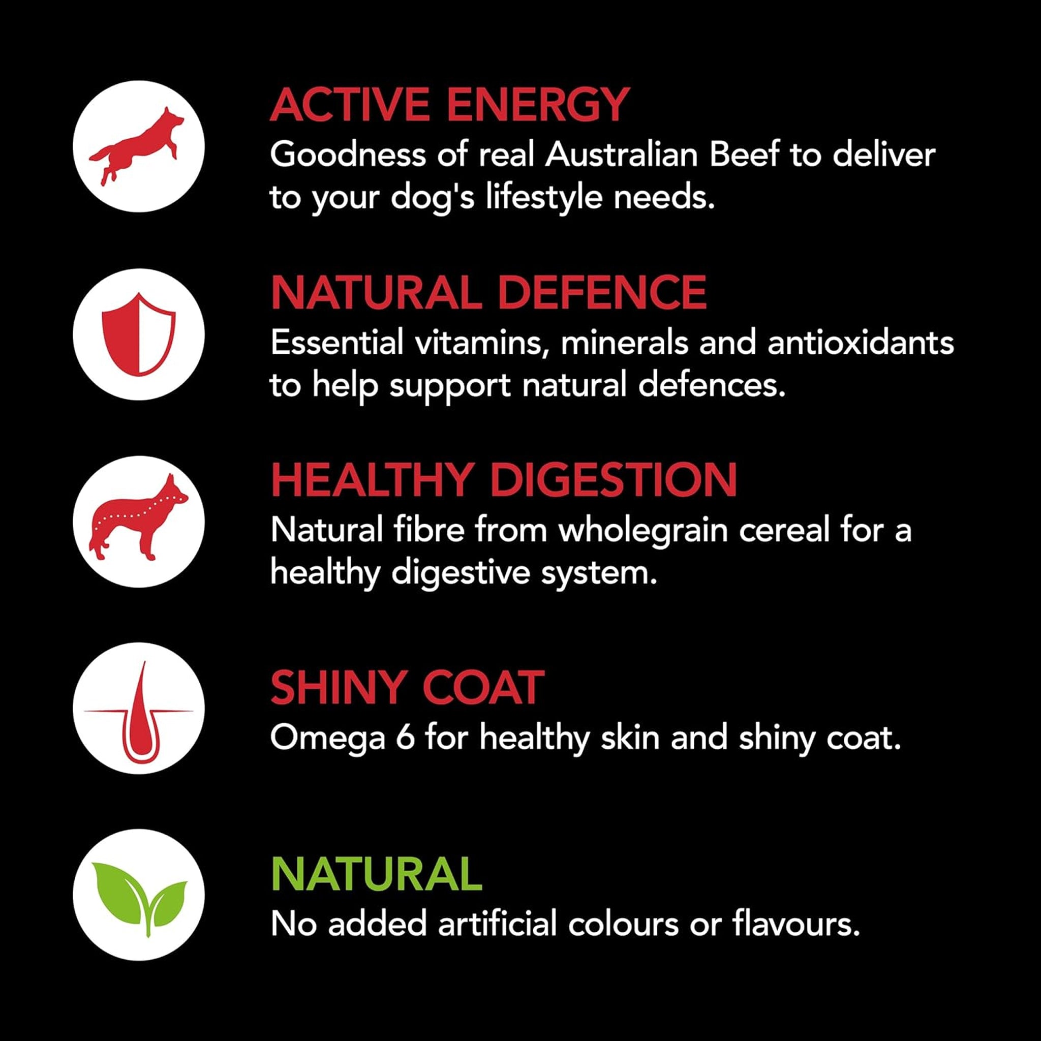 Supercoat Adult Beef Dry Dog Food