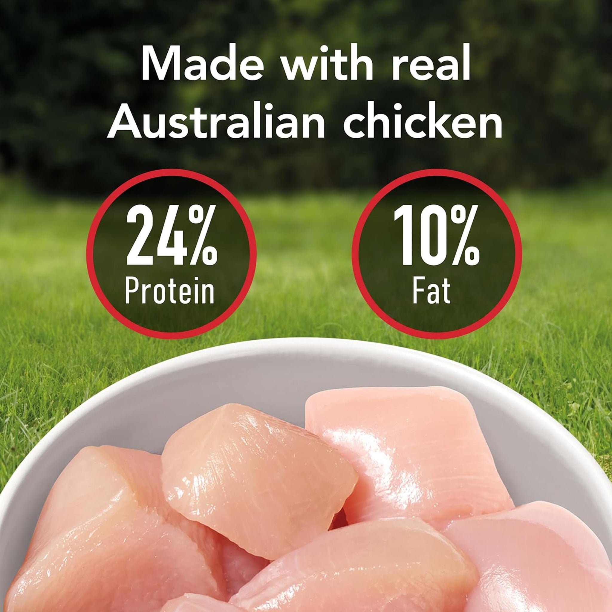 Supercoat Adult Chicken Dry Dog Food