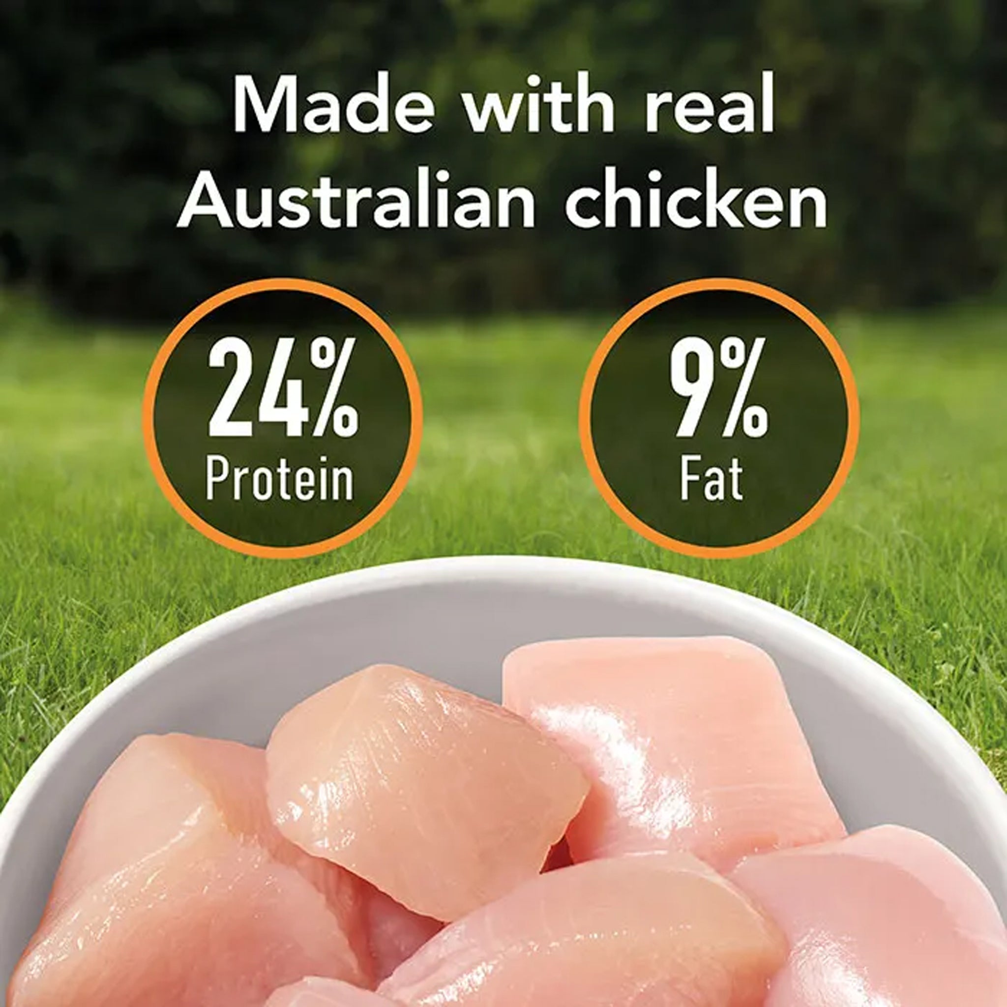 Supercoat Adult Large Breed Chicken Dry Dog Food