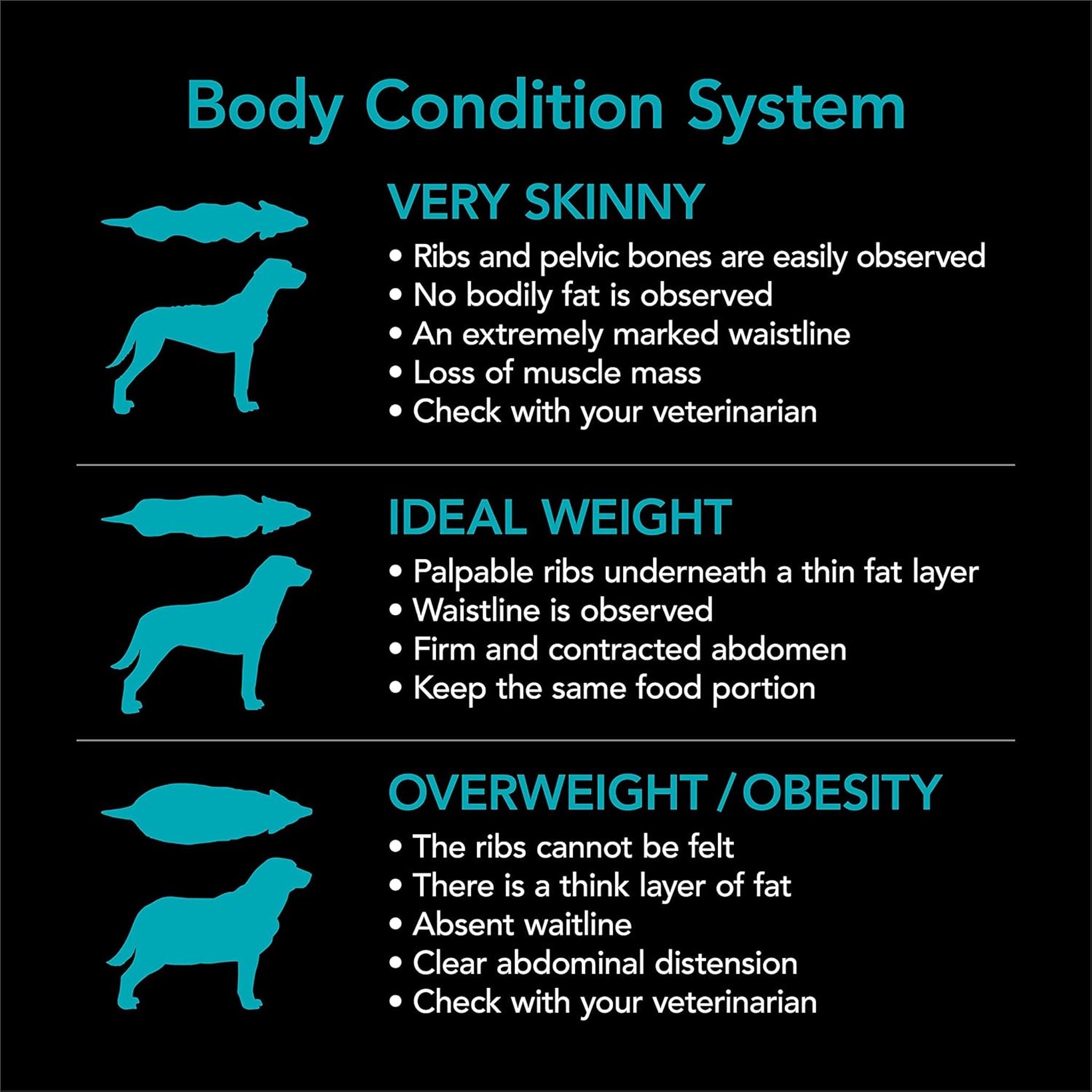 Supercoat Adult Sensitive Fish Dry Dog Food