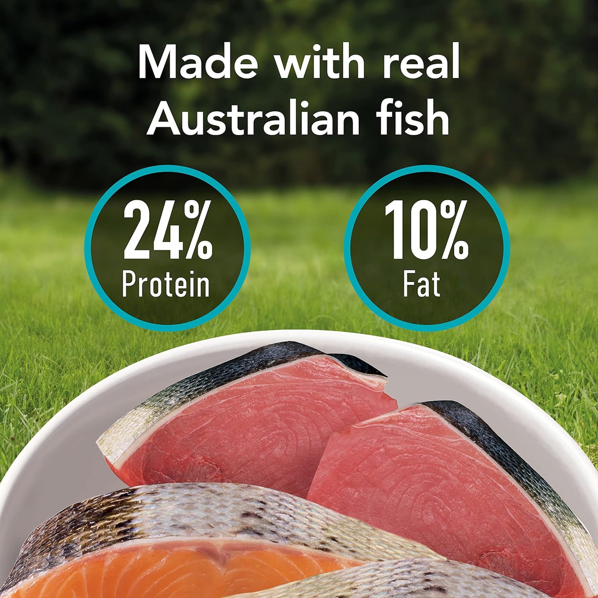 Supercoat Adult Sensitive Fish Dry Dog Food