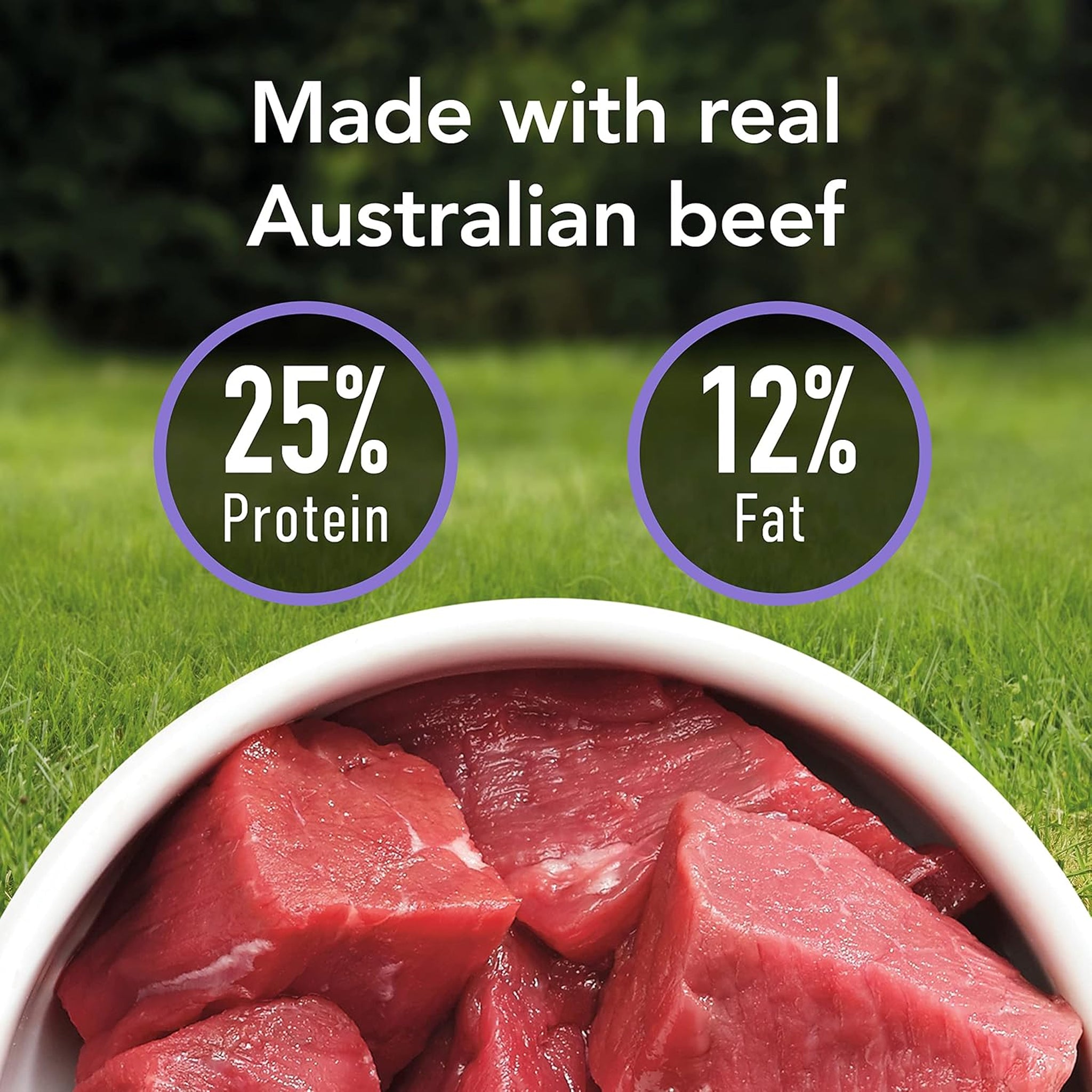 Supercoat Adult Small Breed Beef Dry Dog Food