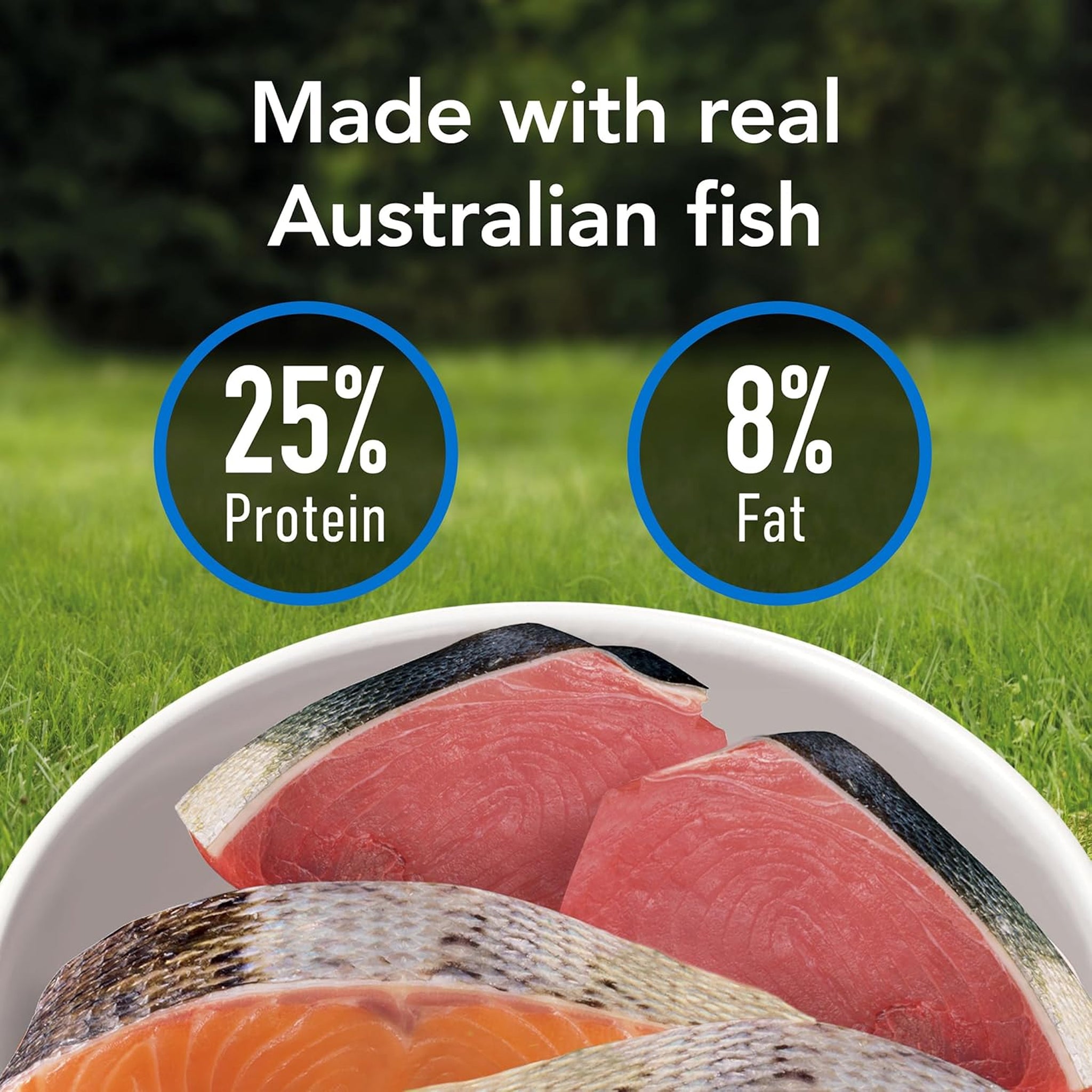 Supercoat Senior Fish Dry Dog Food