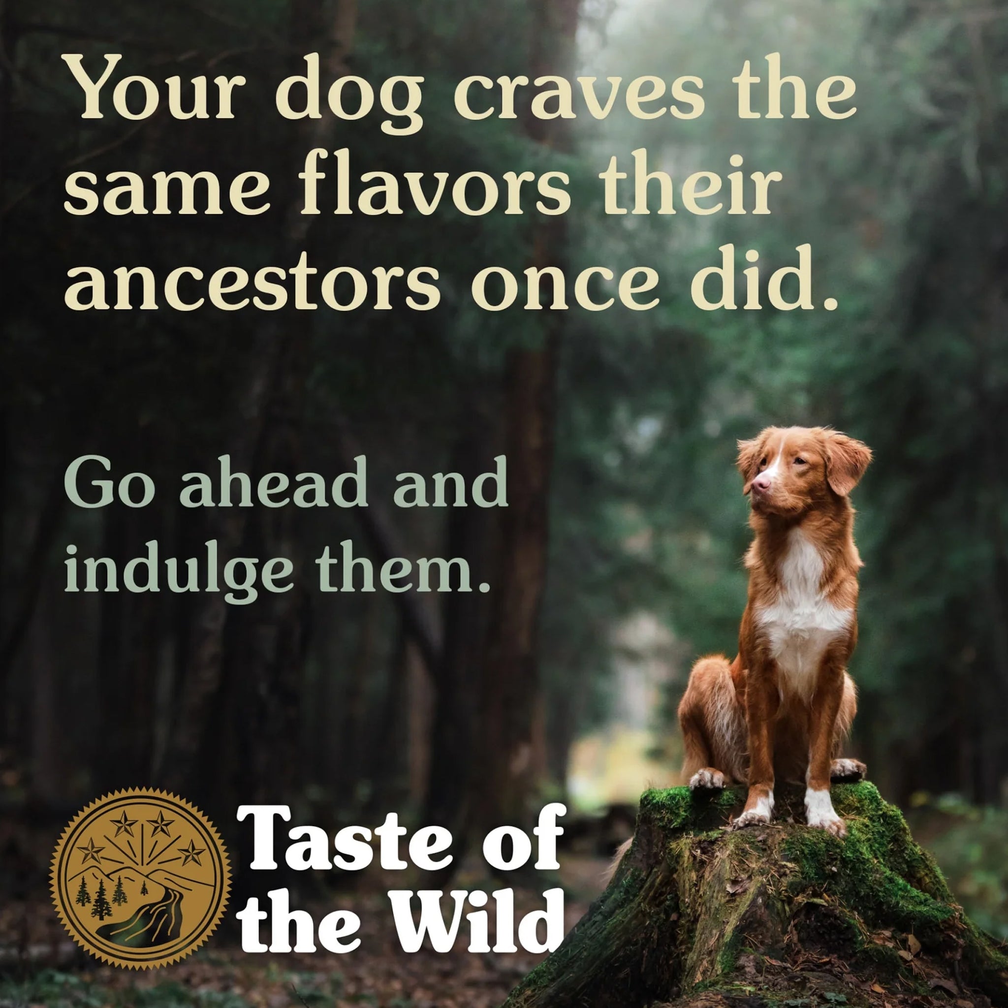 Taste Of The Wild Adult Dog Wet Food Pacific Stream 12 x 390g
