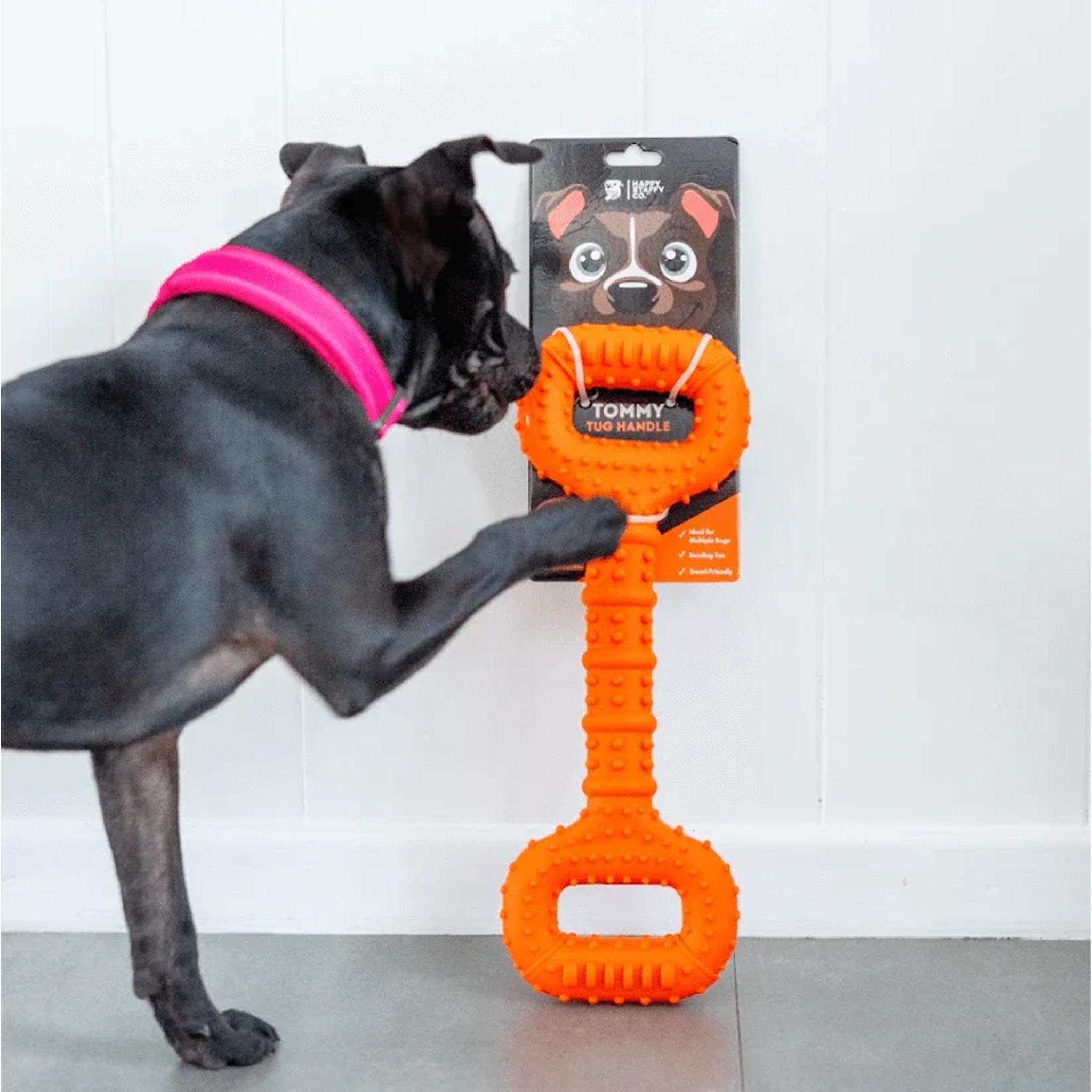 Happy Staffy Tommy Tug Handle Chew Toy