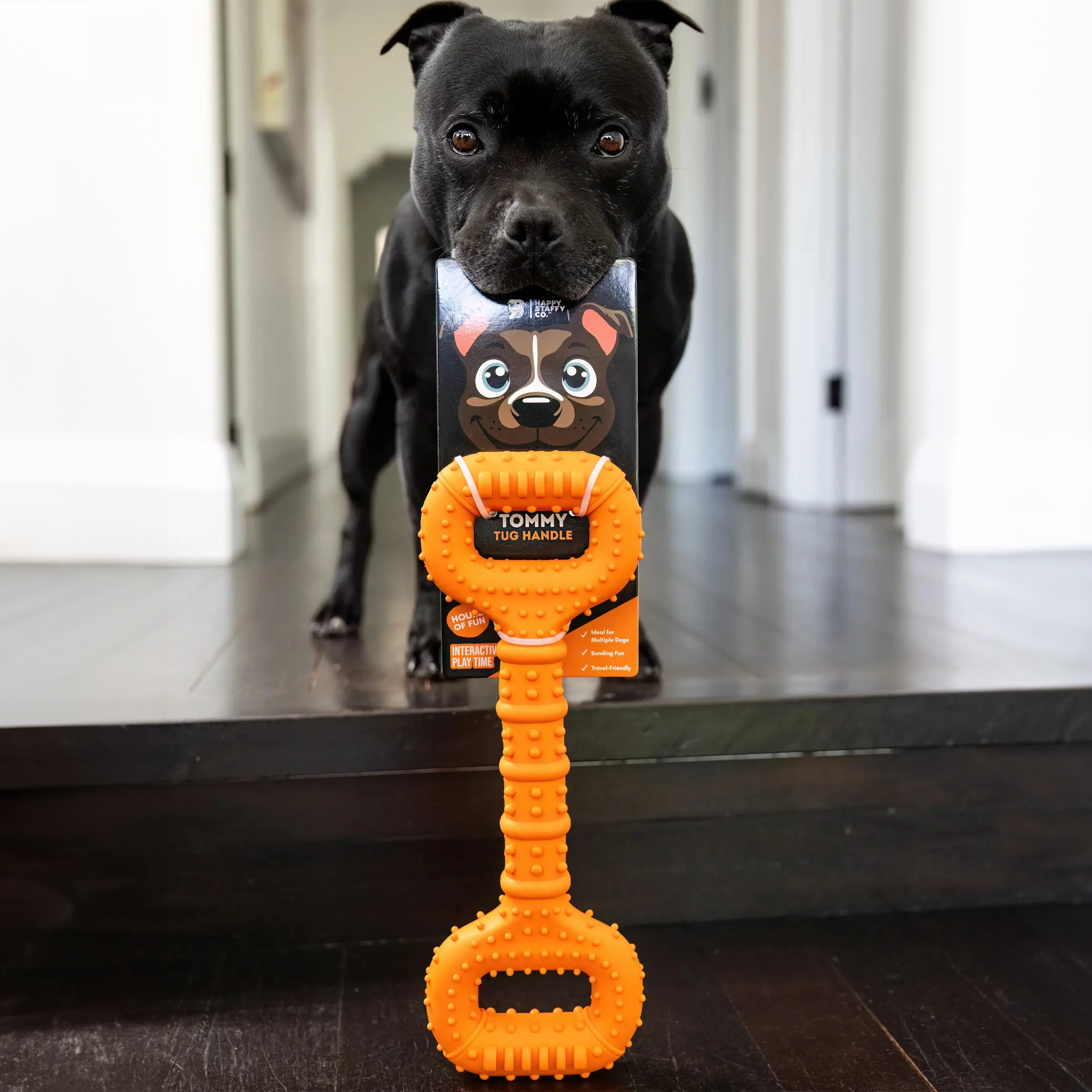 Happy Staffy Tommy Tug Handle Chew Toy