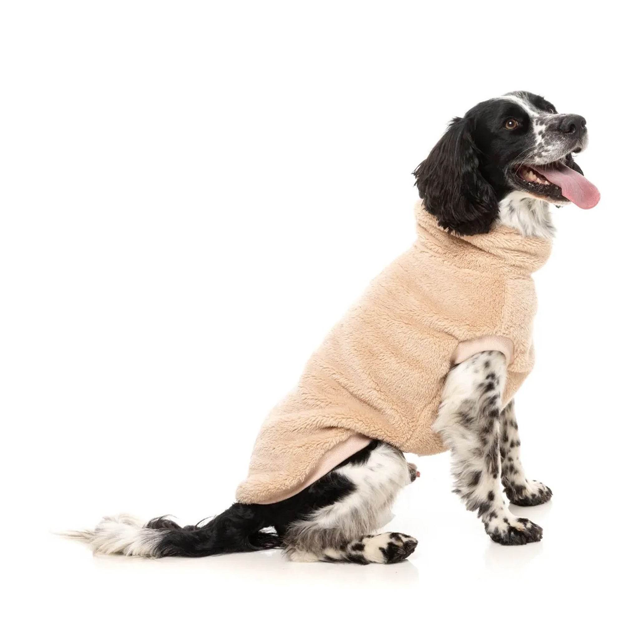 FuzzYard Turtle Teddy Sweater