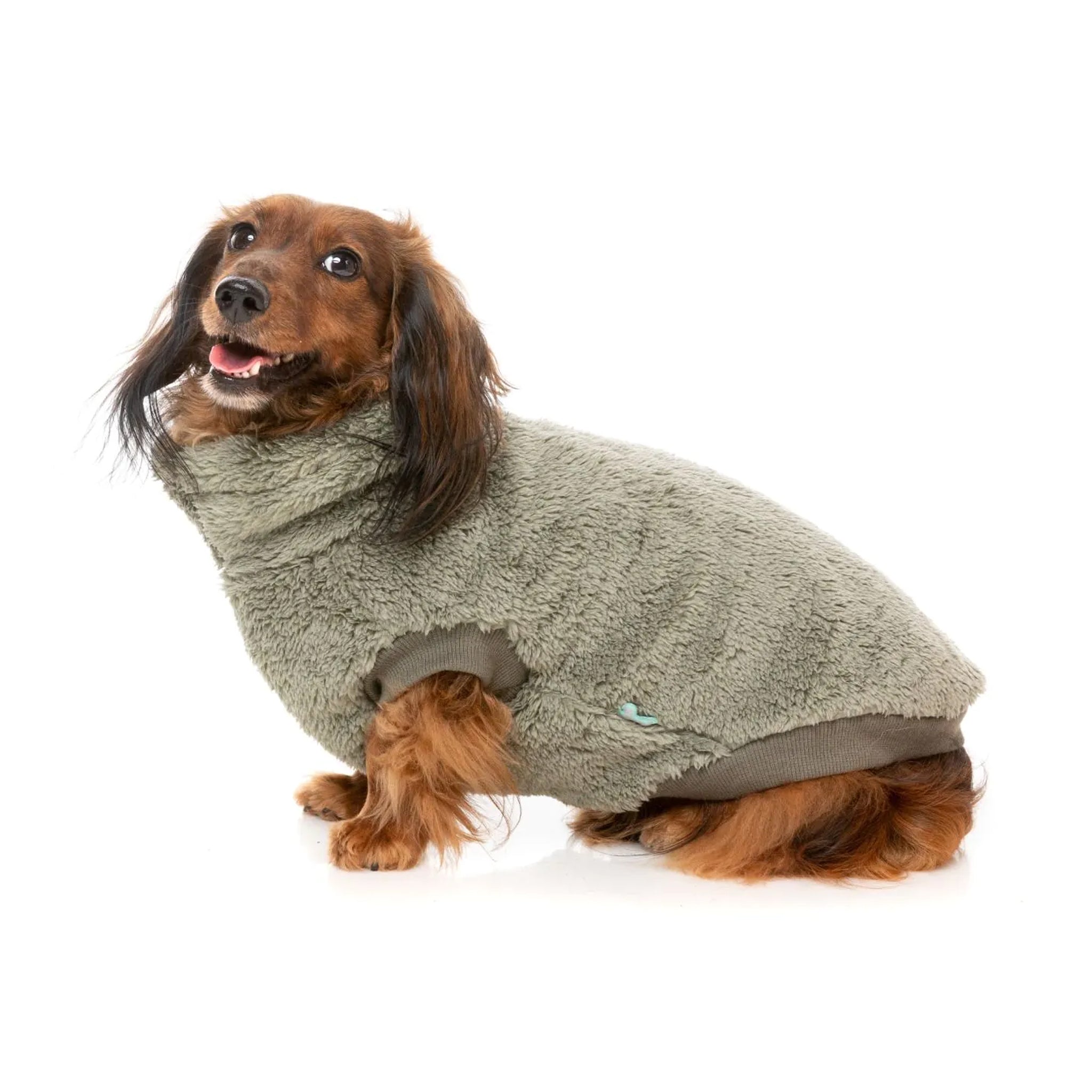 FuzzYard Turtle Teddy Sweater