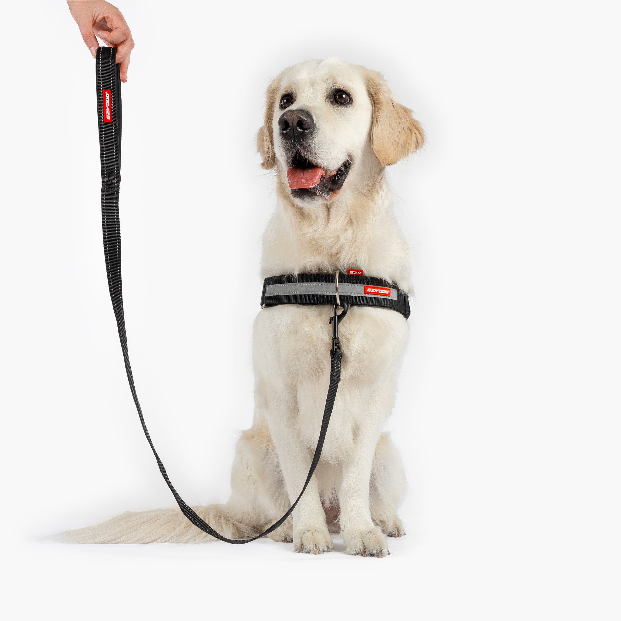 EzyDog Up Front D-Ring Harness Attachment