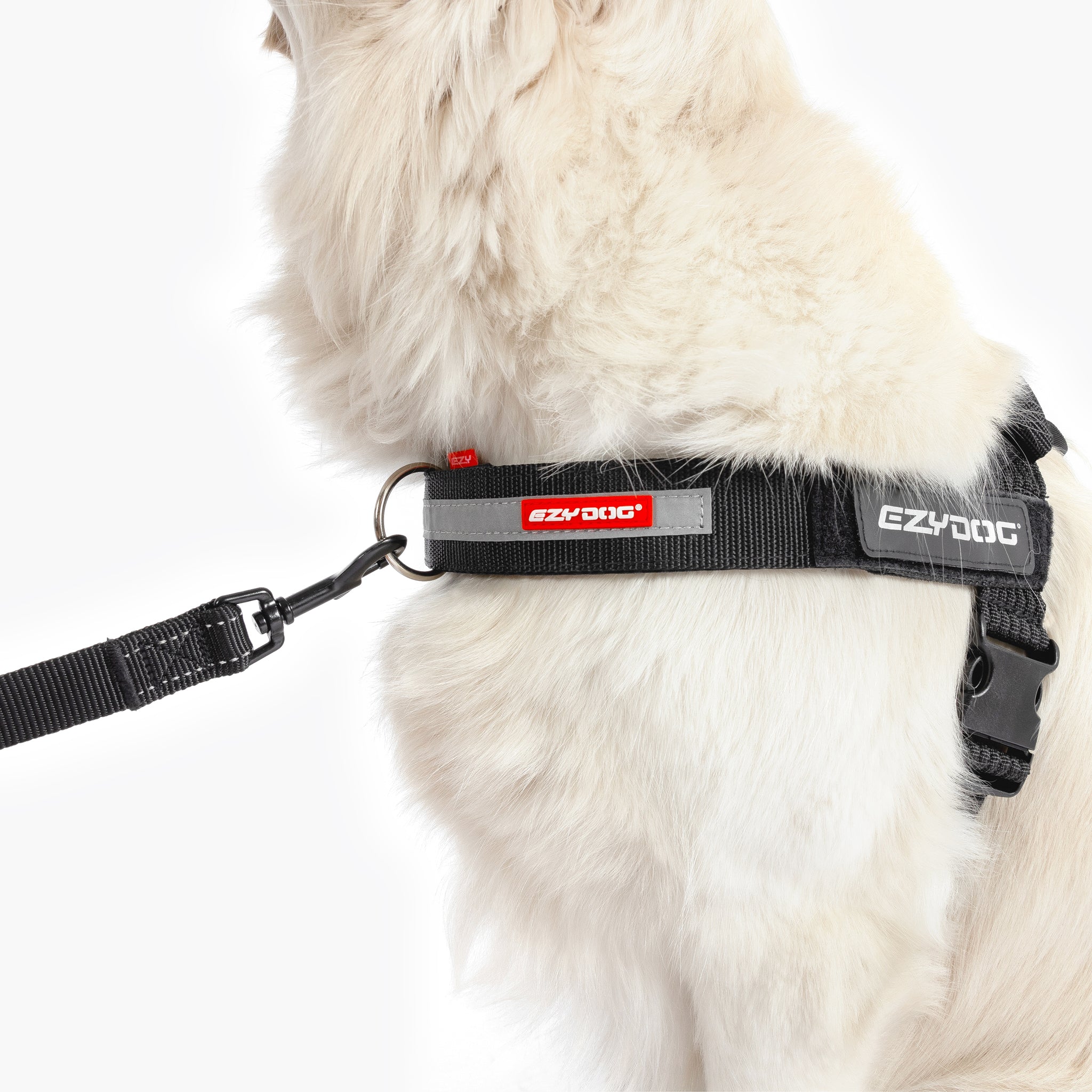 EzyDog Up Front D-Ring Harness Attachment
