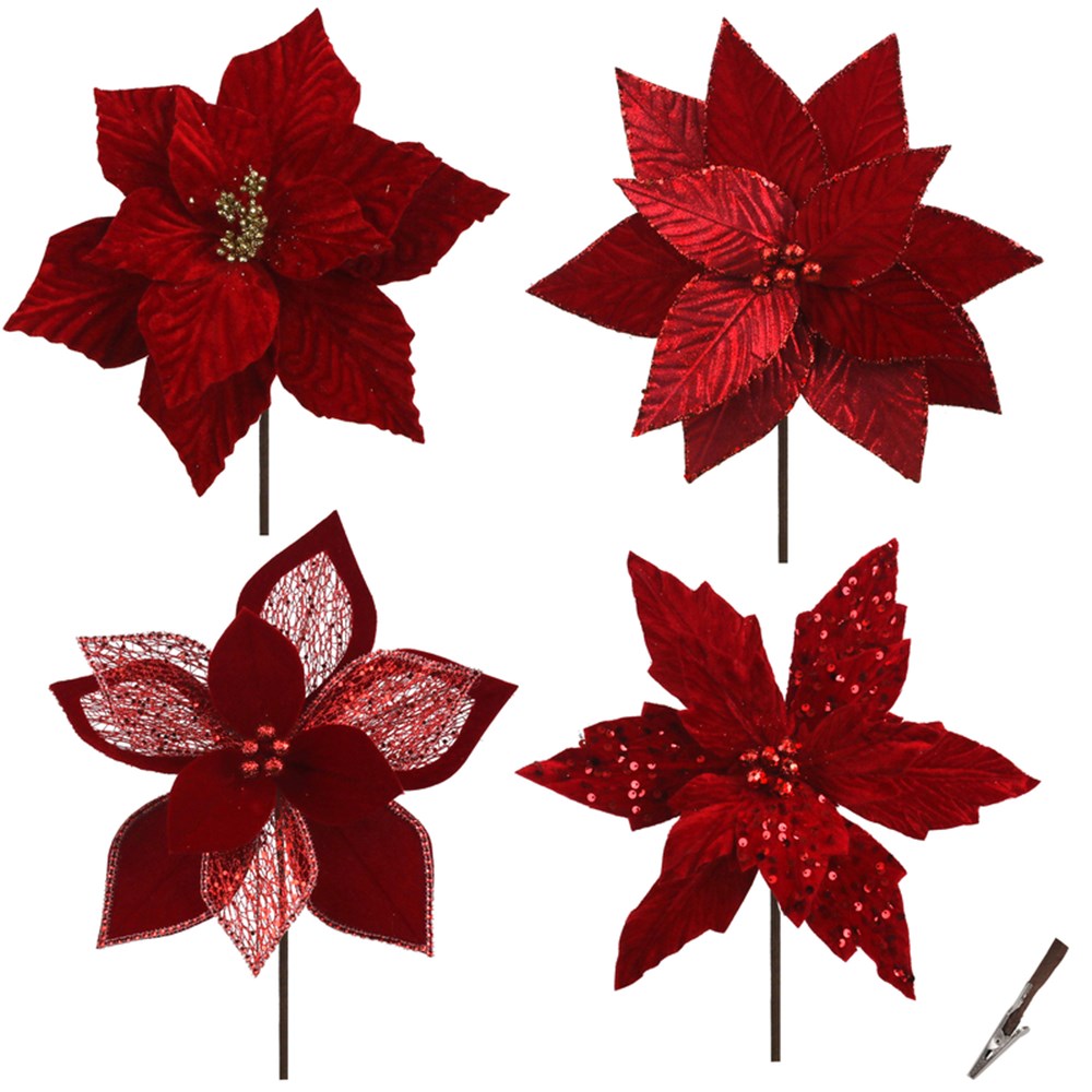 Very Berry Red Poinsettias Assorted