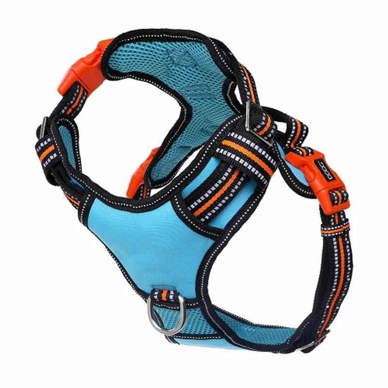 DOOG Neotech Harness