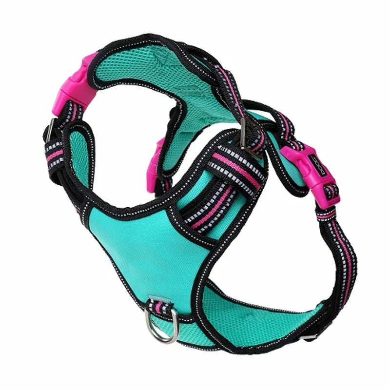 DOOG Neotech Harness
