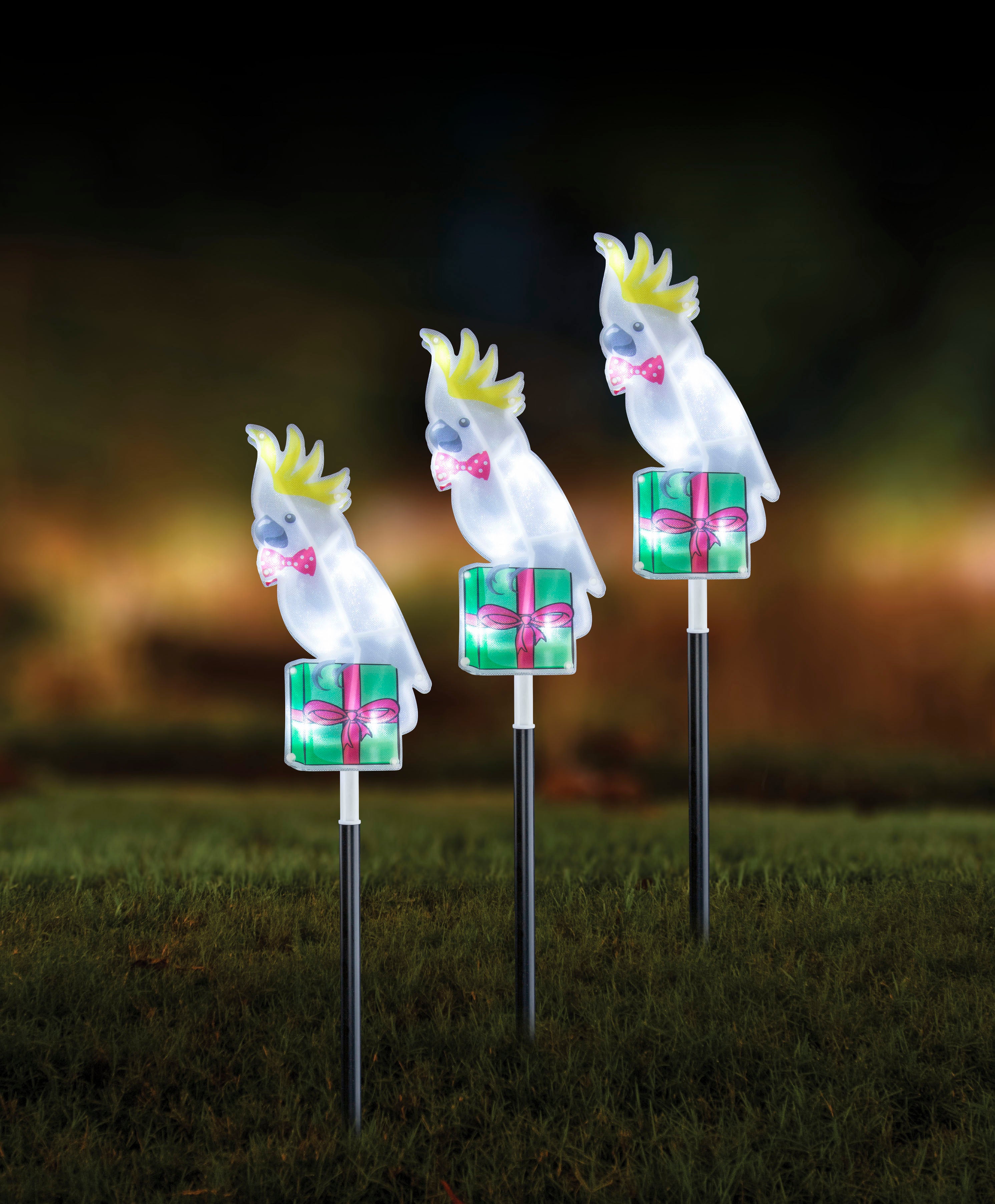 Solar Laser PVC Path Lights Aussie 3pk Asst