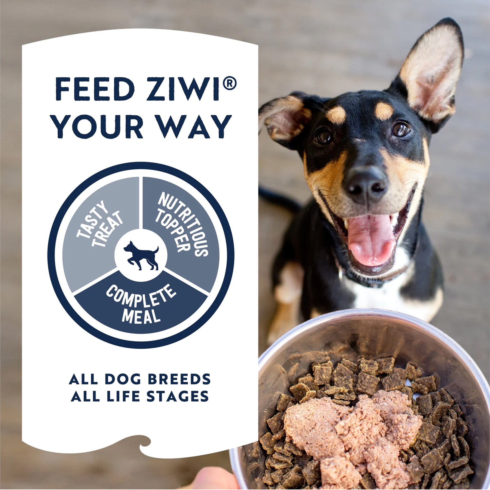 Ziwi Peak Adult Wet Dog Food Cans Lamb