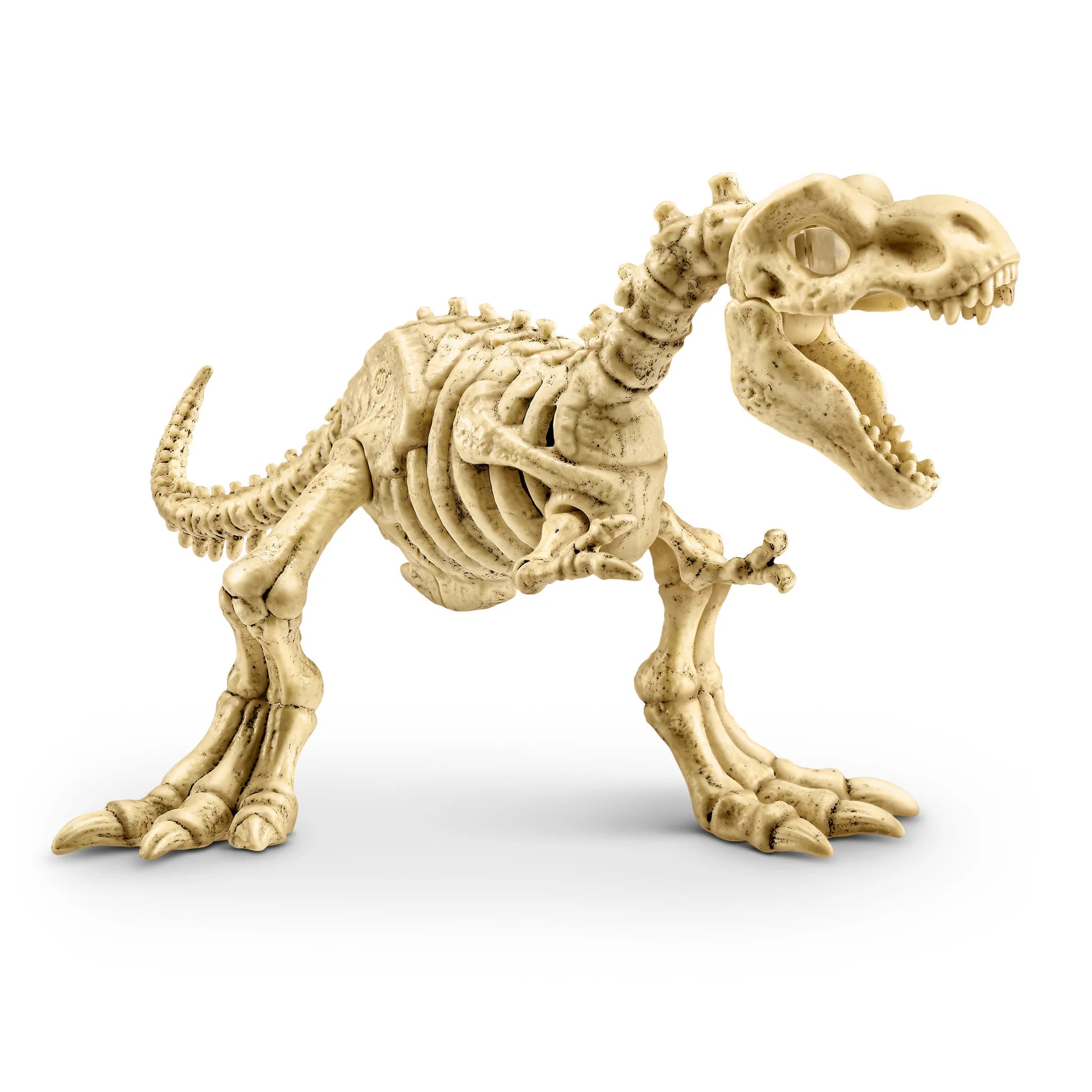 ZURU Robo Alive Light-Up Dino Fossil Amber Adventure