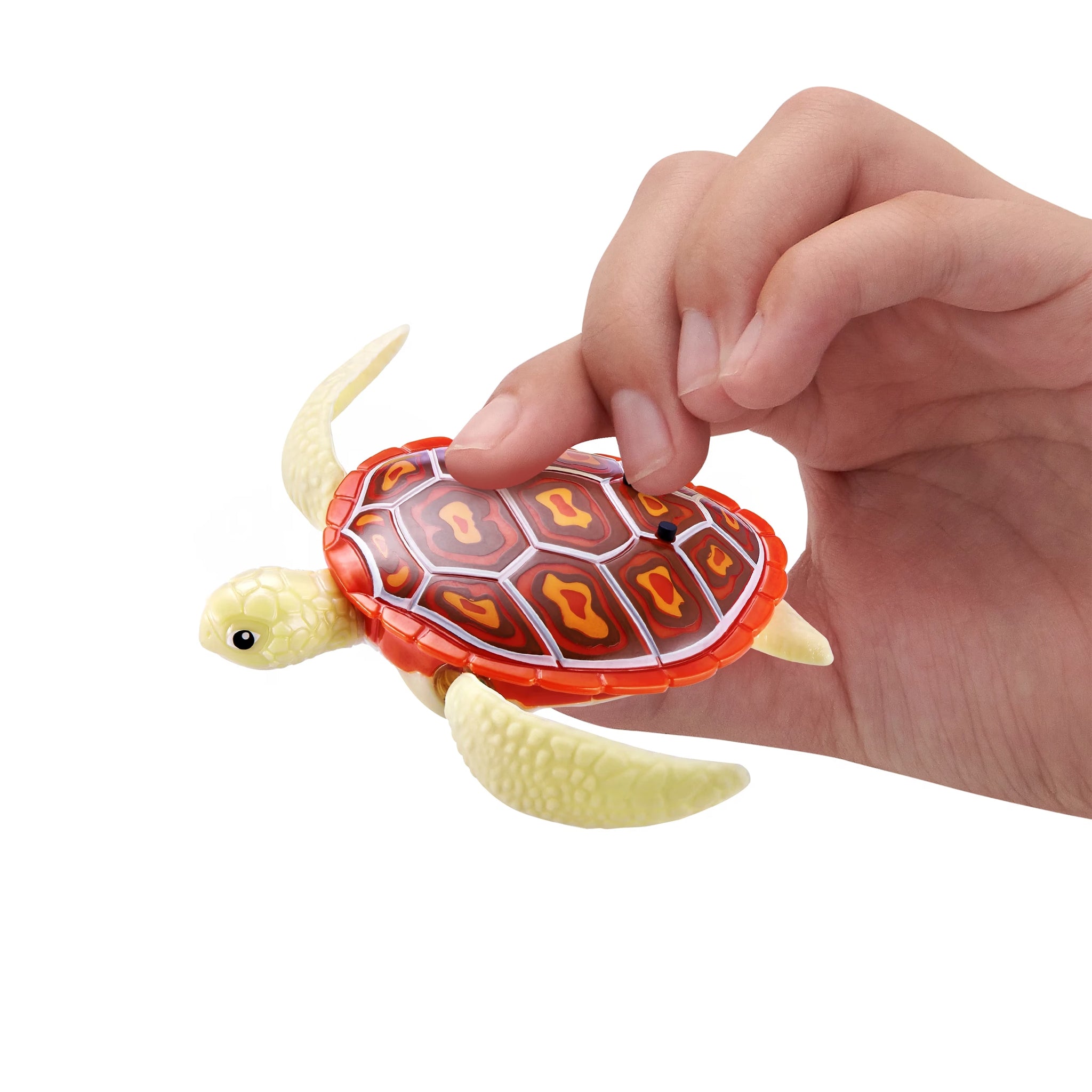 ZURU Robo Turtle Assorted