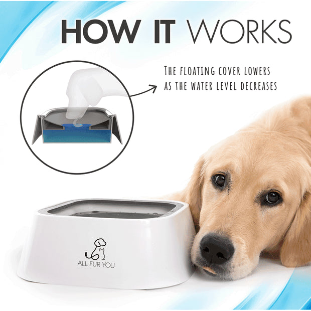 All Fur You Anti Splash Bowl