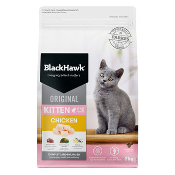 Black Hawk Kitten Chicken